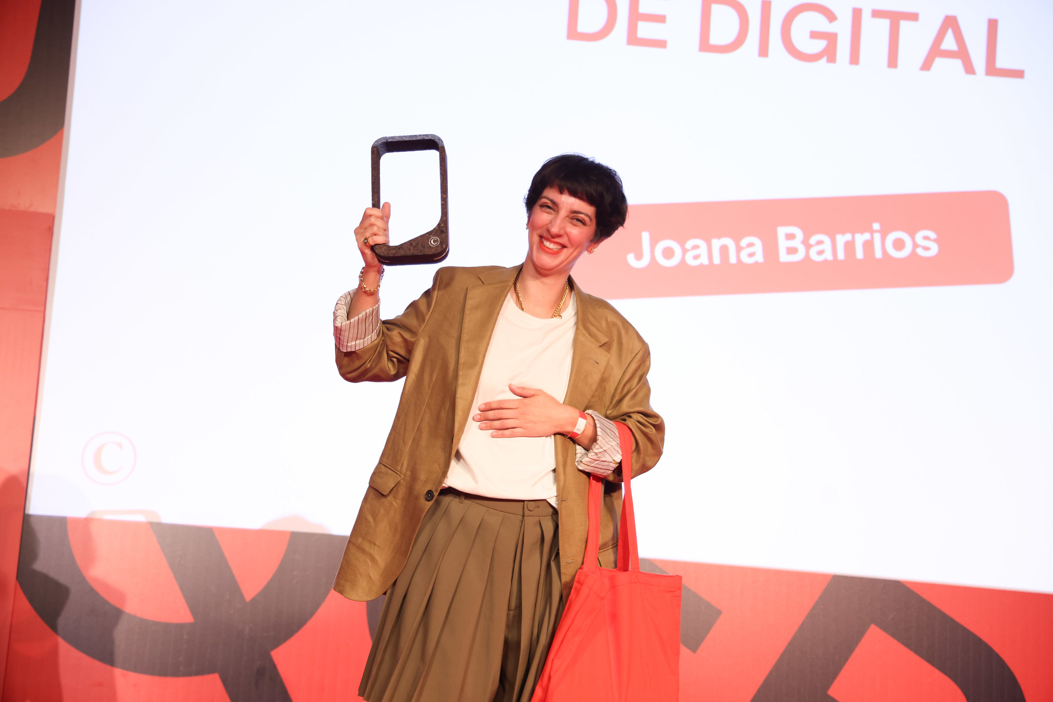 2024 anunciante Digital 
