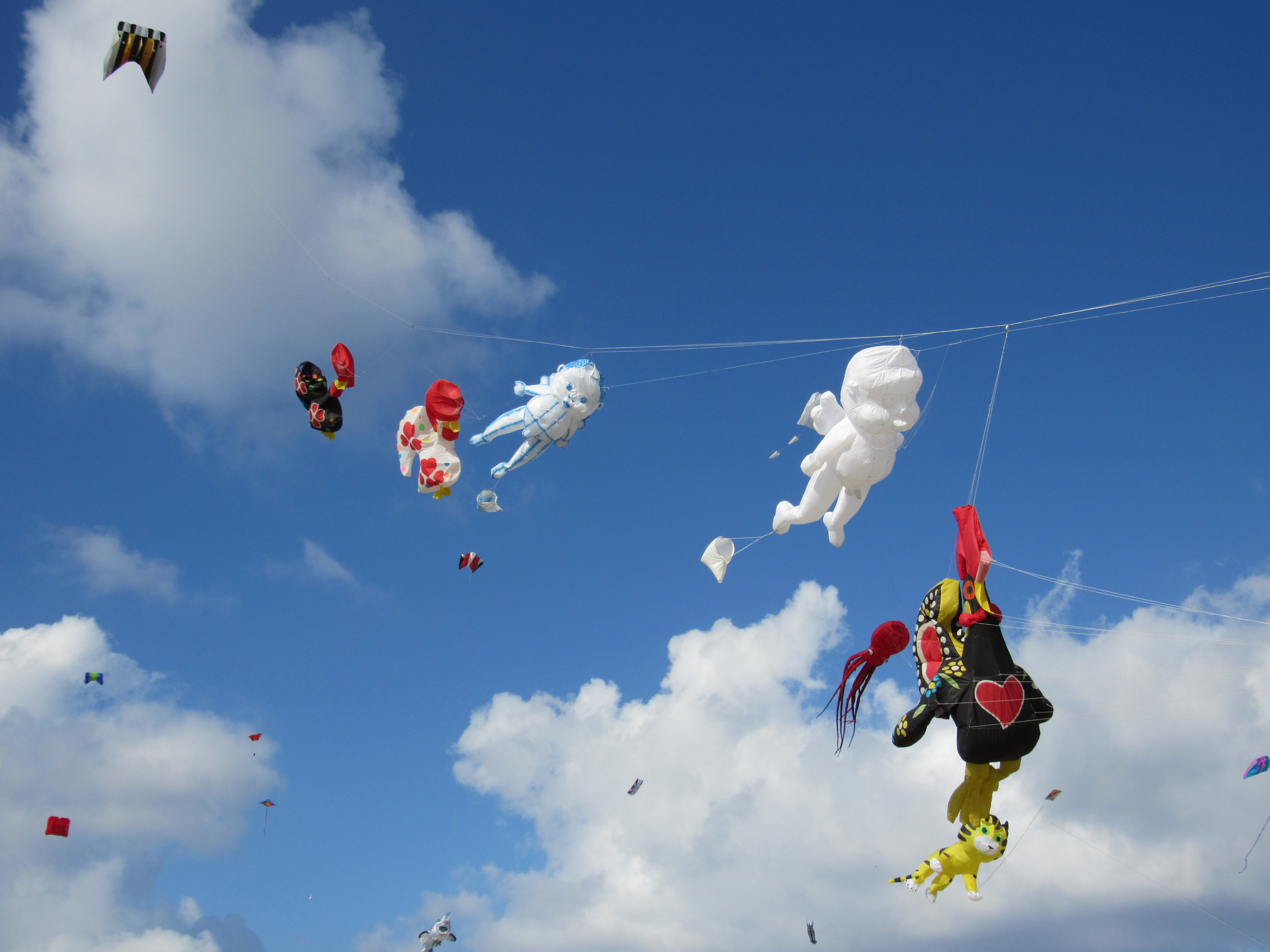 Festival Dunas de São Jacinto