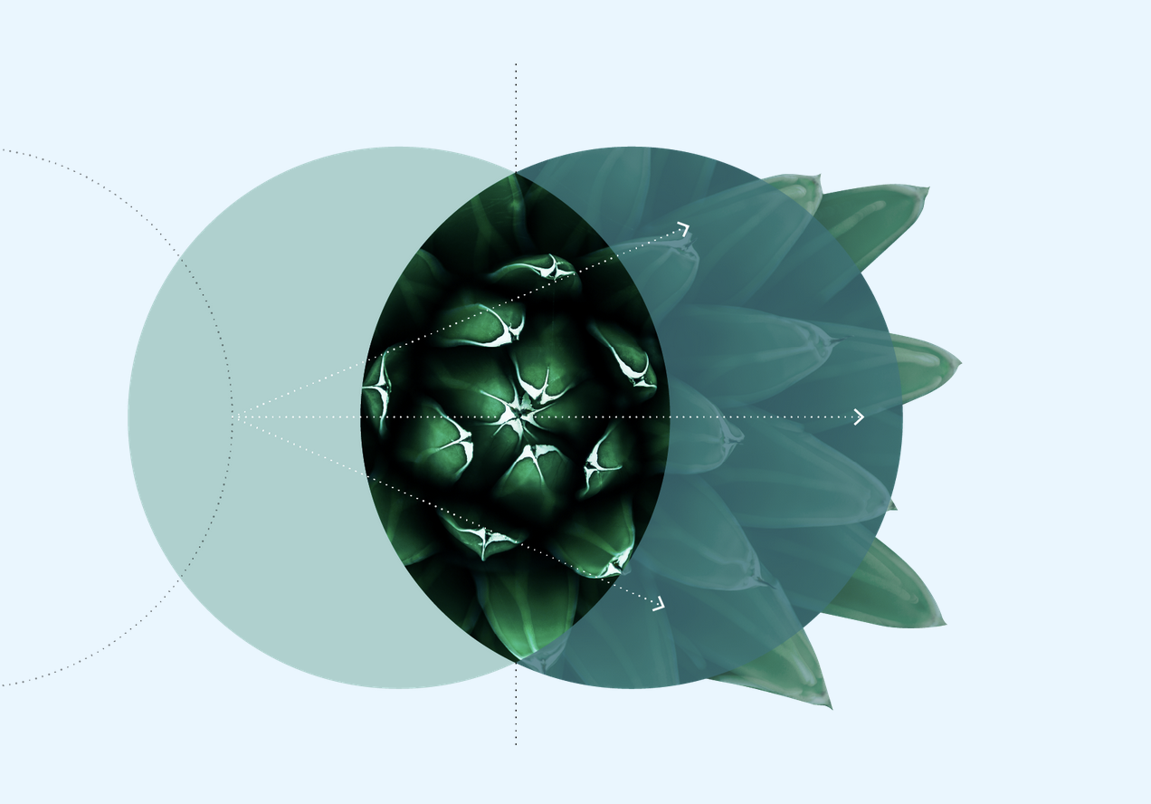 2022 - DELOITTE | Global Marketing Trends 2022