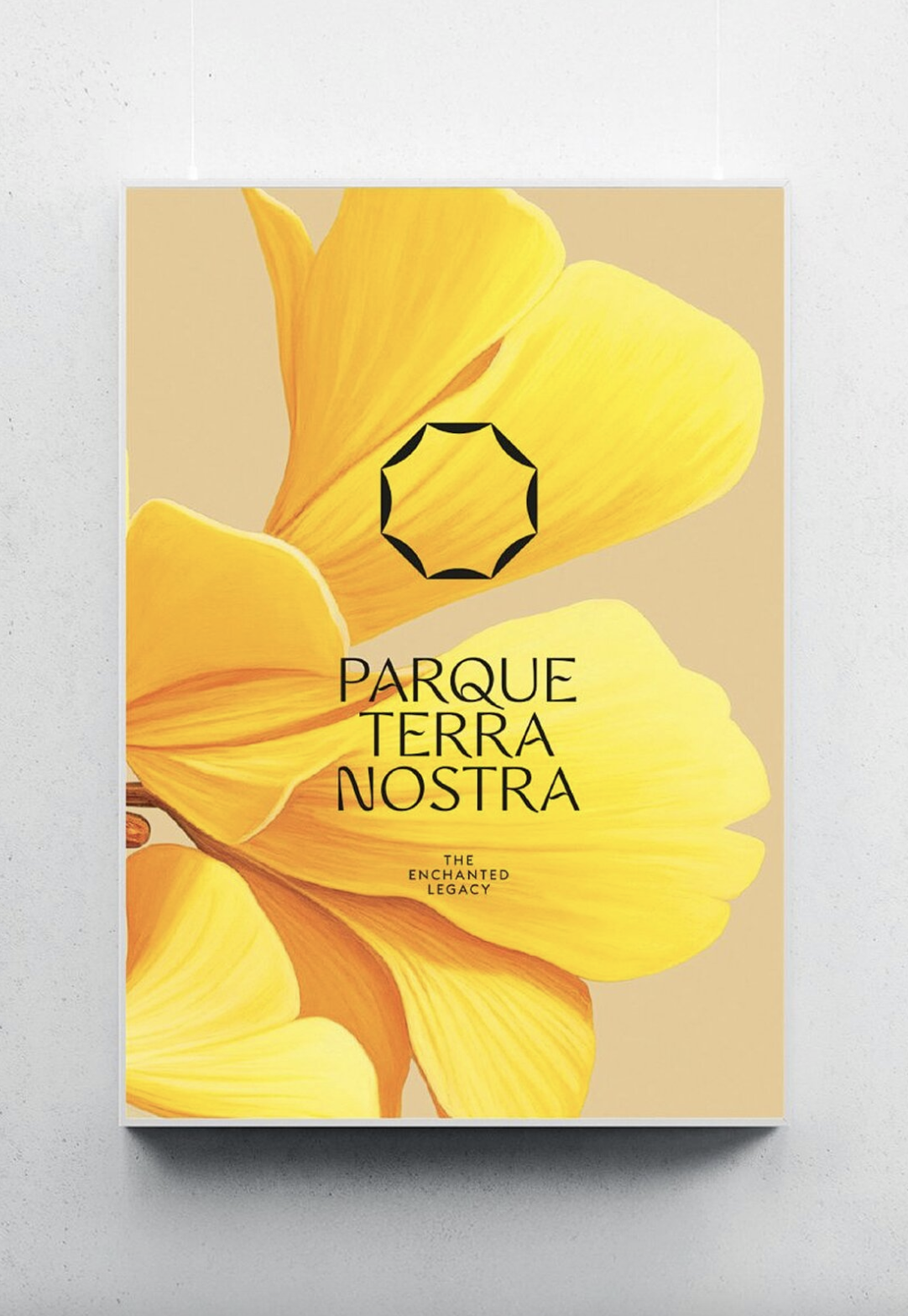 Red Dot Design Awards premeia portugueses em design e inovação