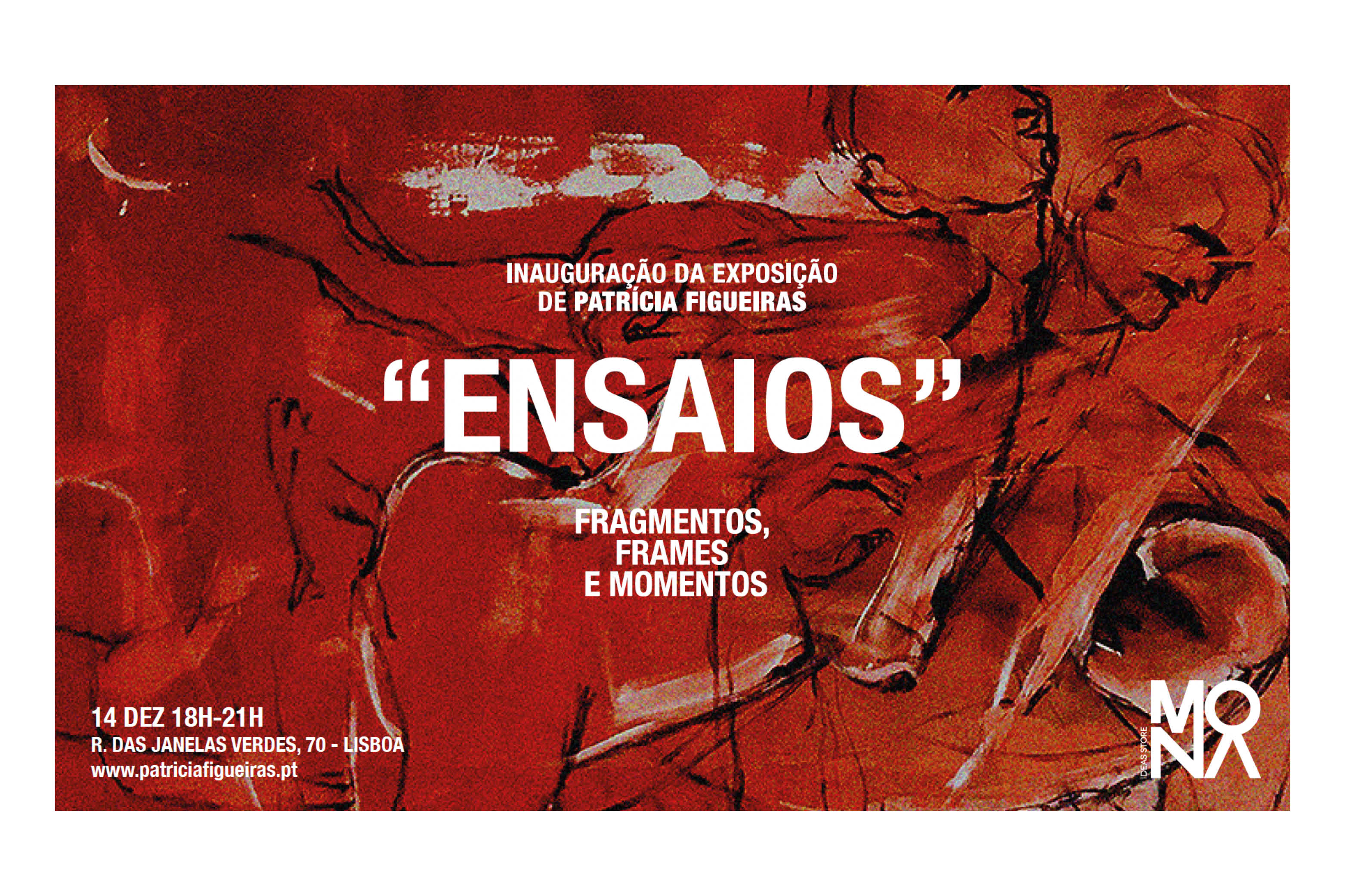 Exposição "Ensaios", de Patrícia Figueiras, na MONA