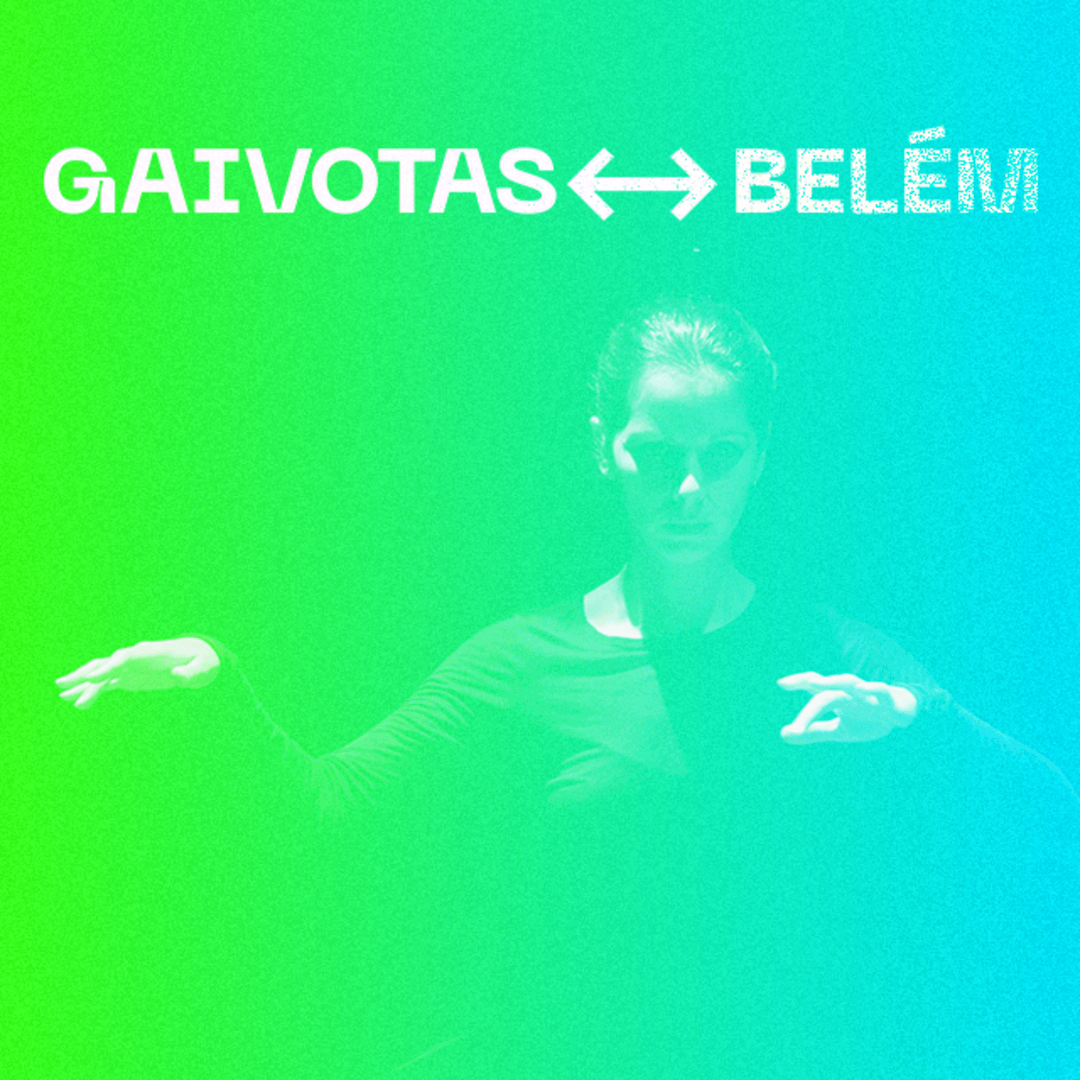 GAIVOTAS ↔ BELÉM