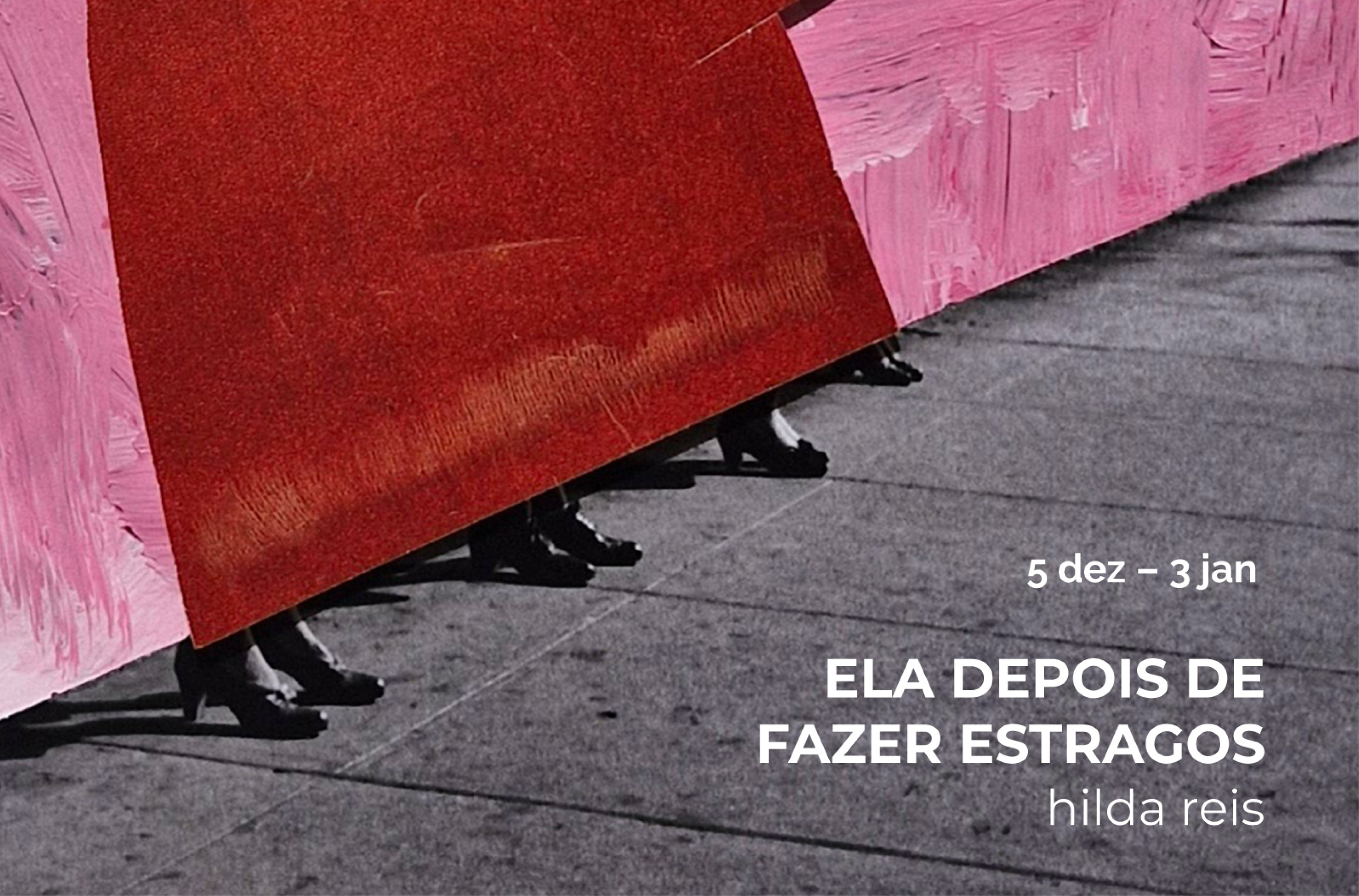 ELA DEPOIS DE FAZER ESTRAGOS de Hilda Reis