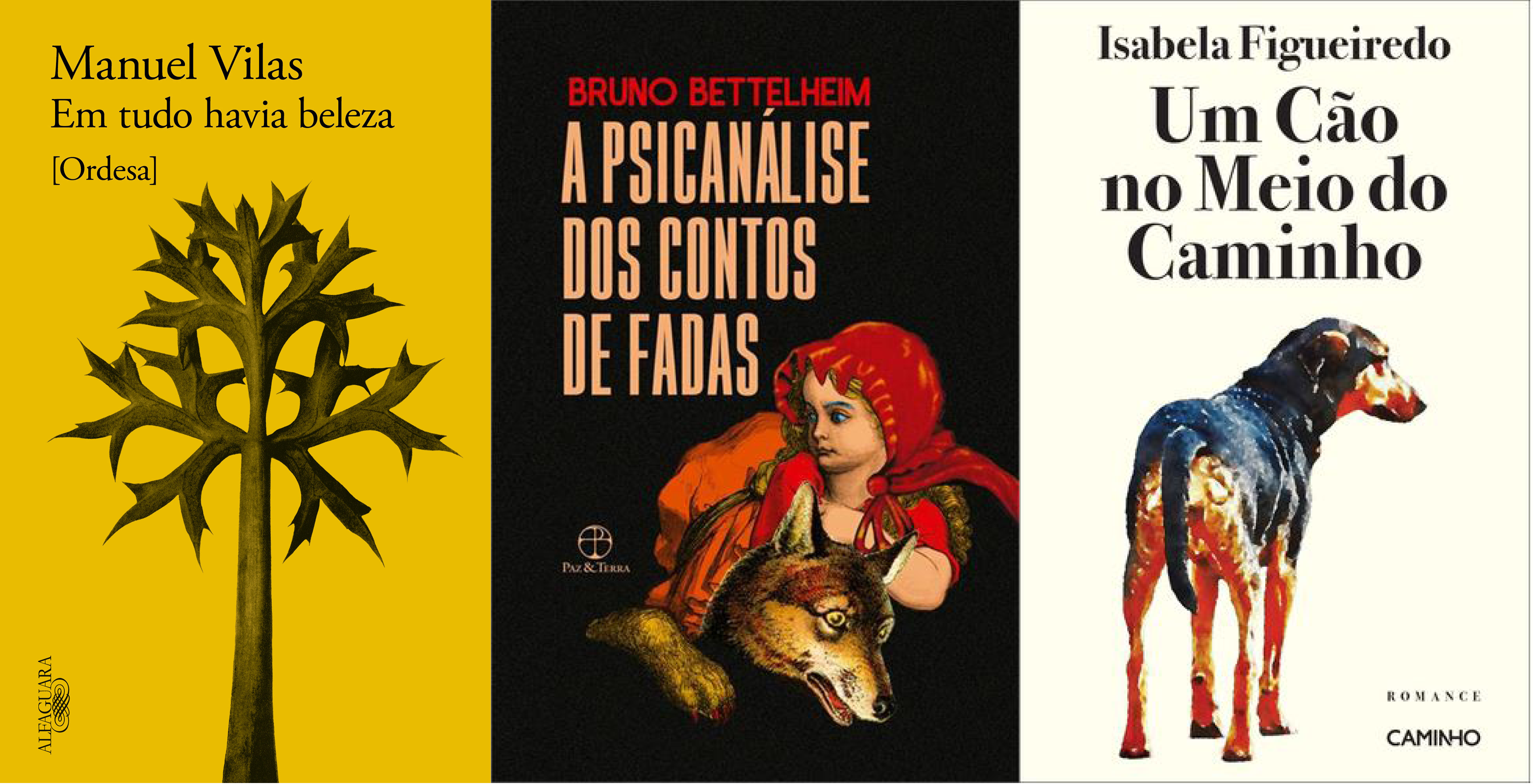 2026 Leituras de Verão: recomendações de criativos e autores