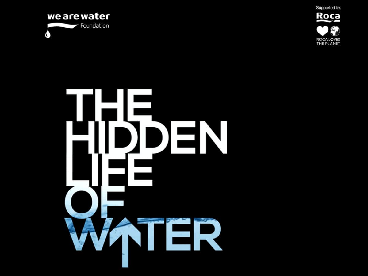 Roca | The Hidden Life of Water