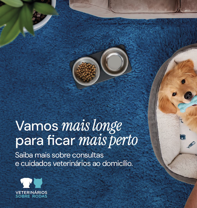 2026 Vencedores Creative Challenge