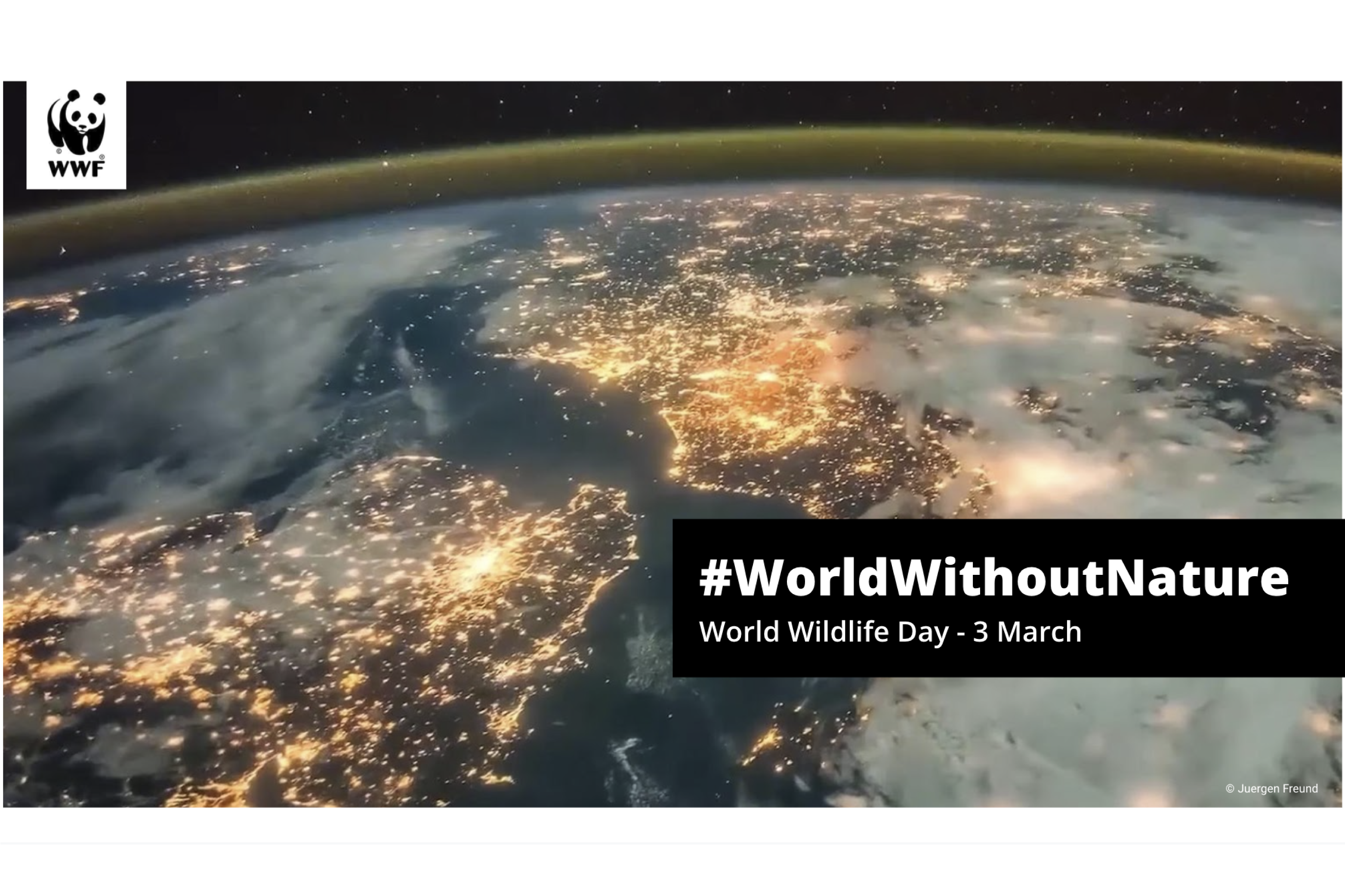 #WorldWithoutNature, a campanha criativa da  WWF