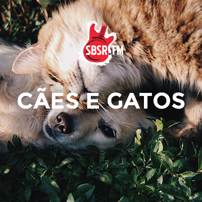 SBSR | A playlist dos cães e gatos