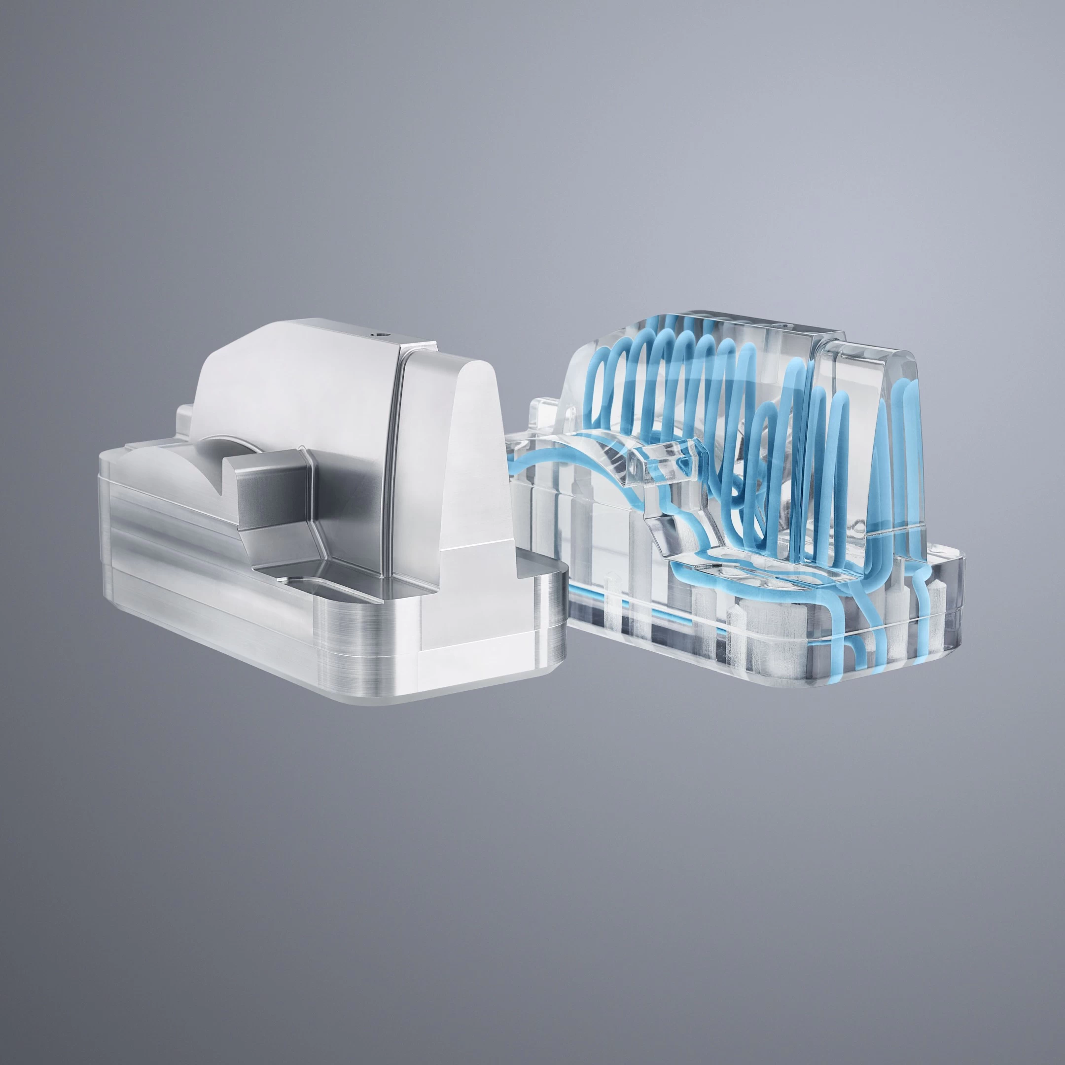 Injection Mold Insert