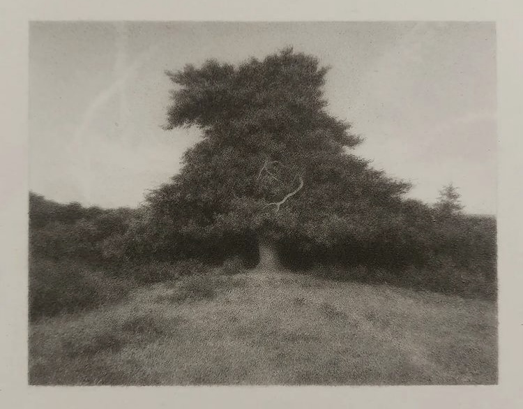 Compulsive Contents Lewis Chamberlain How We Used To See Things