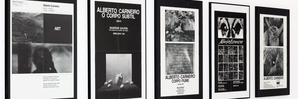 ARQUIVO. ALBERTO CARNEIRO