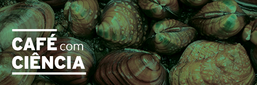 Café com Ciência: E quem se lixa é o mexilhão! Verdade ou mito?