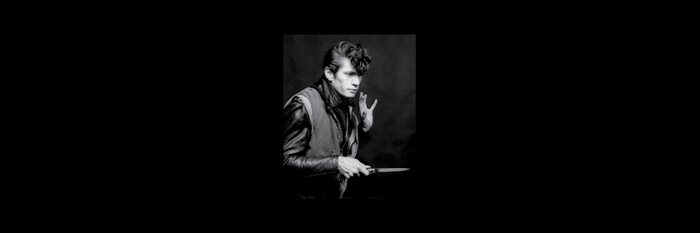 VISITA ORIENTADA À EXPOSIÇÃO: "ROBERT MAPPLETHORPE: PICTURES"