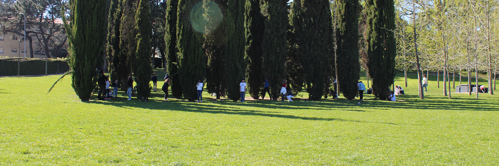 FÉRIAS DE VERÃO EM SERRALVES 2017