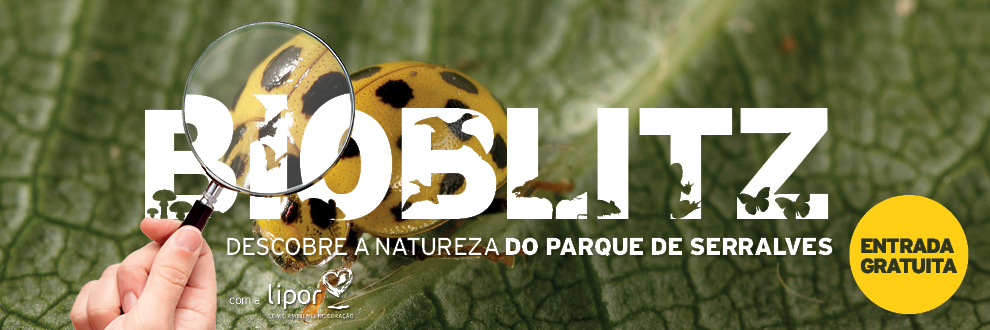 Bioblitz Serralves 2016