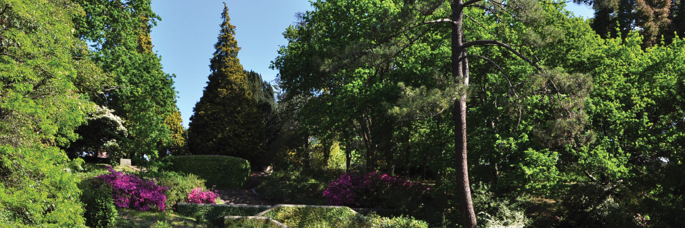 A PRIMAVERA NO PARQUE DE SERRALVES - VISITA SAZONAL