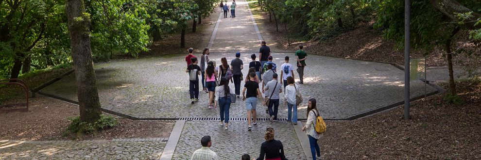 Visita Sazonal de Verão - 2019