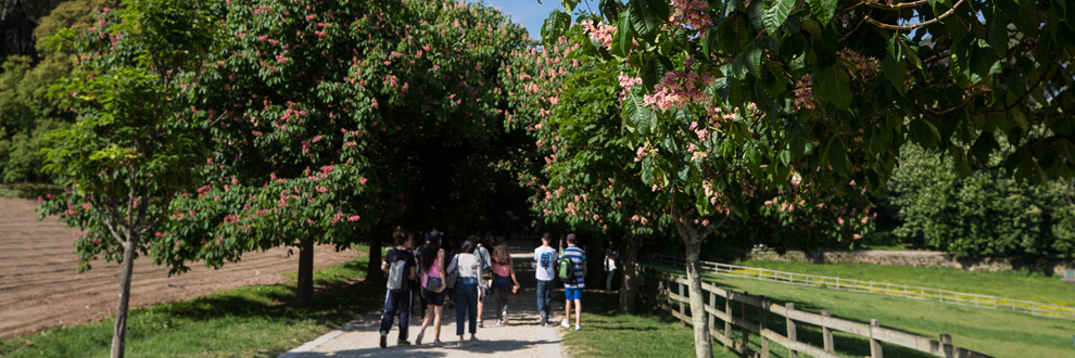 VISITA SAZONAL: A PRIMAVERA NO PARQUE DE SERRALVES