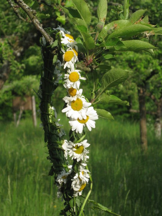 18.09.01.01.21 SOLE-SE-AO-AtividadesAmbiente-Aqui primavera