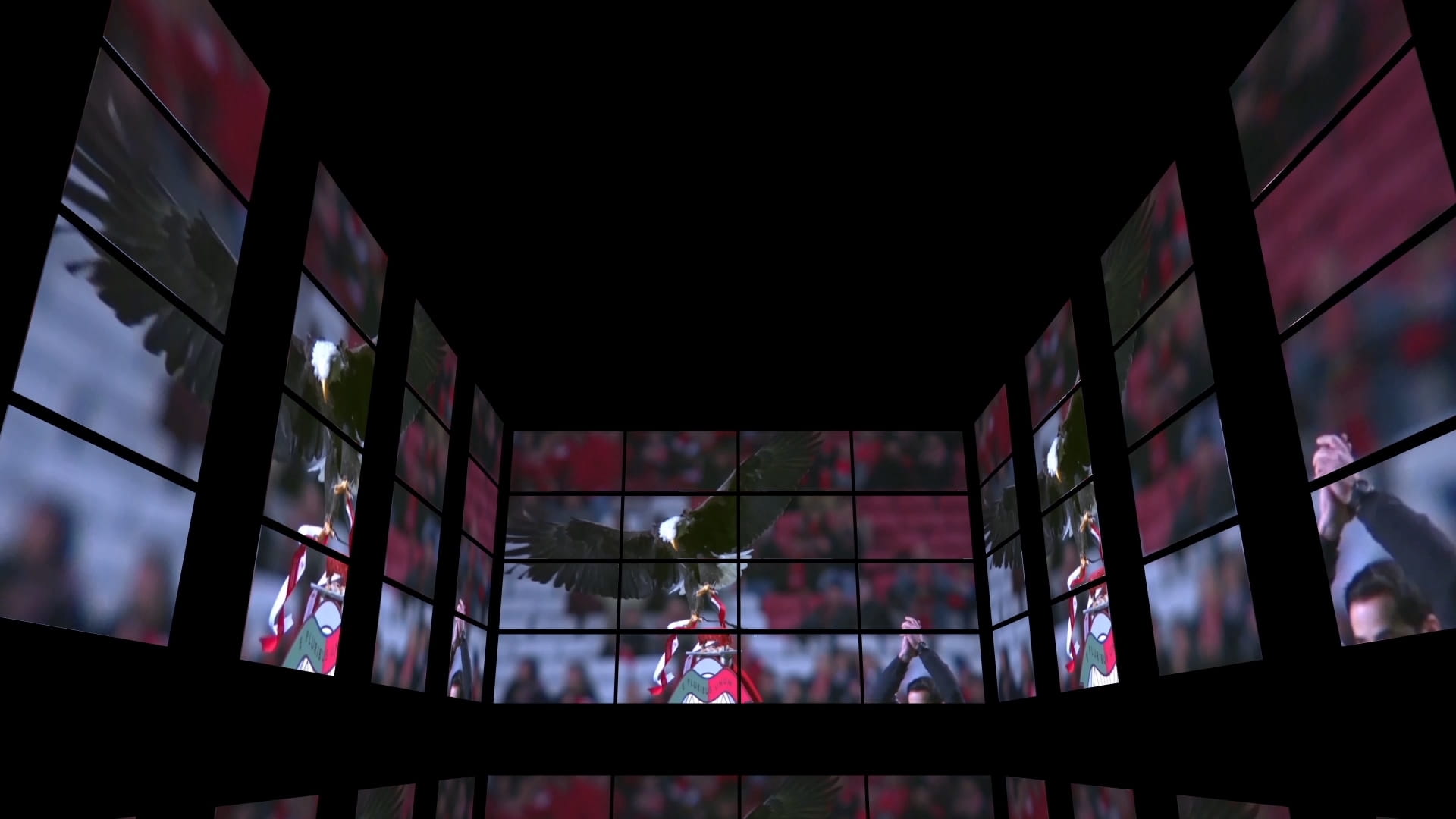 elevador_aguia_museu_cosme