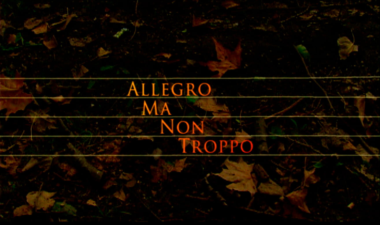 Allegro Ma Non Troppo