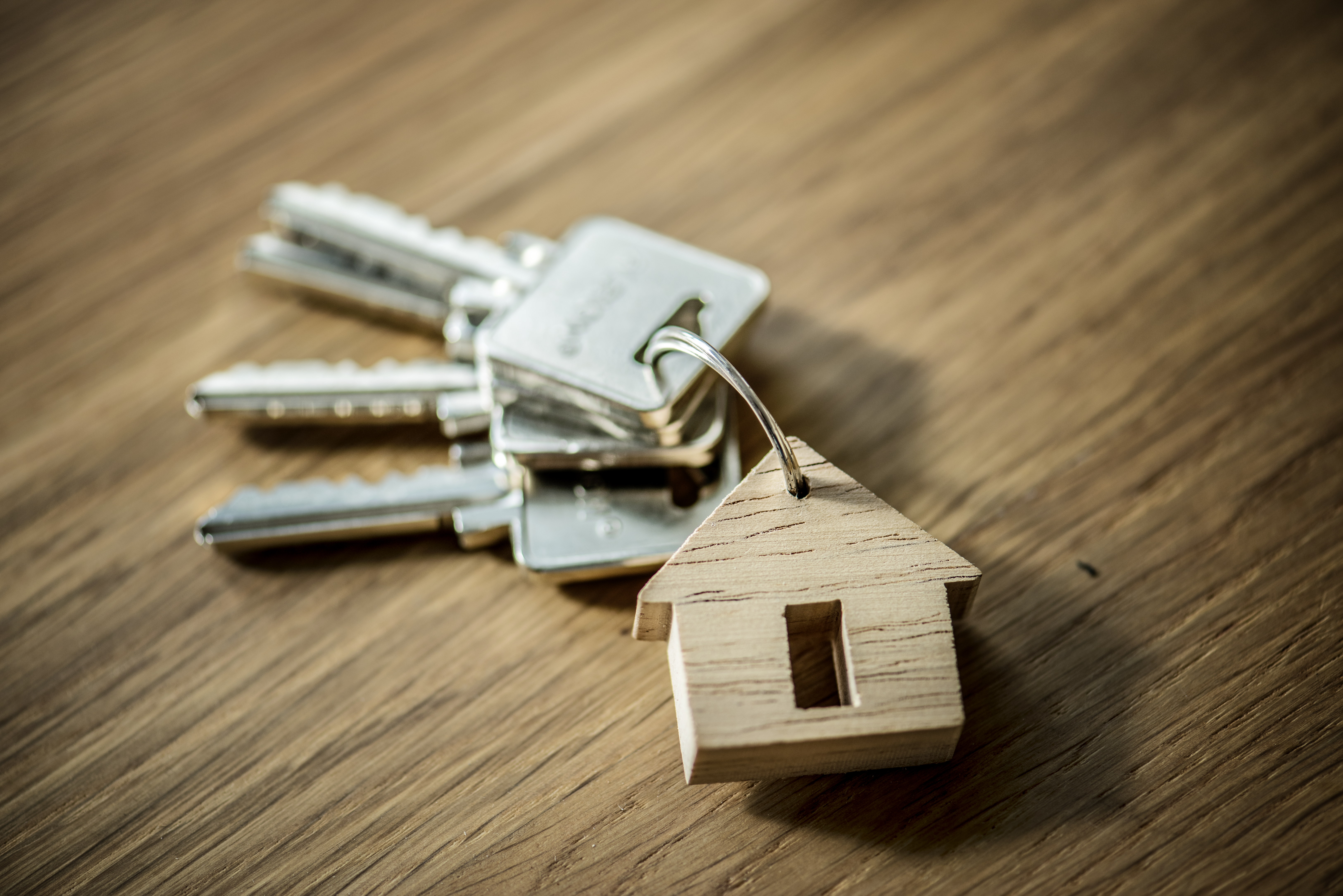 Housing: Challenges and Perspectives for the Future