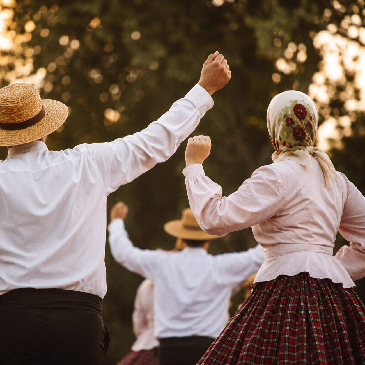 Festival de Folclore de Rosais