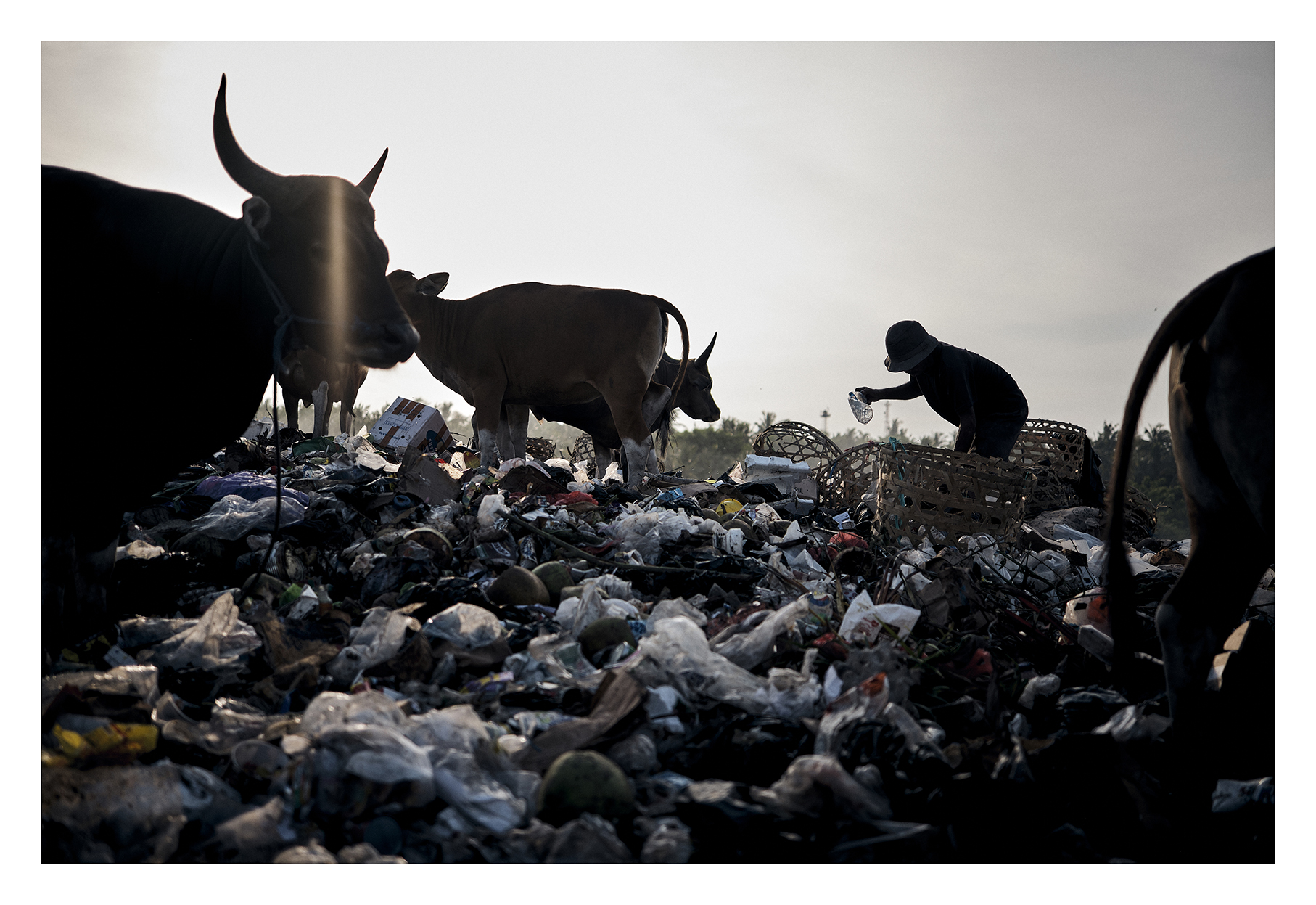 Garbage in Paradise