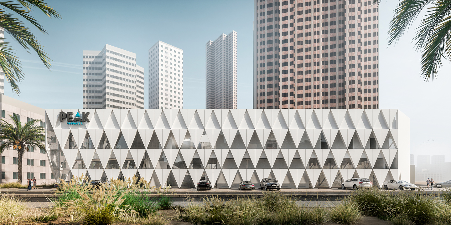 41-RESEARCH — 2206 PEAK GYM