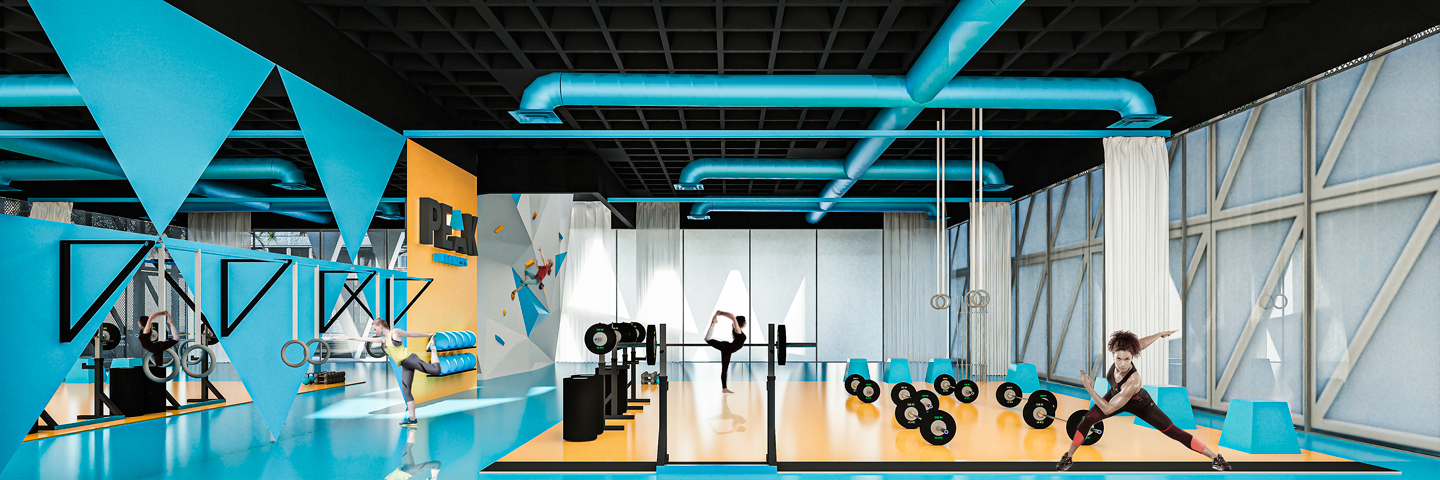 41-RESEARCH — 2206 PEAK GYM