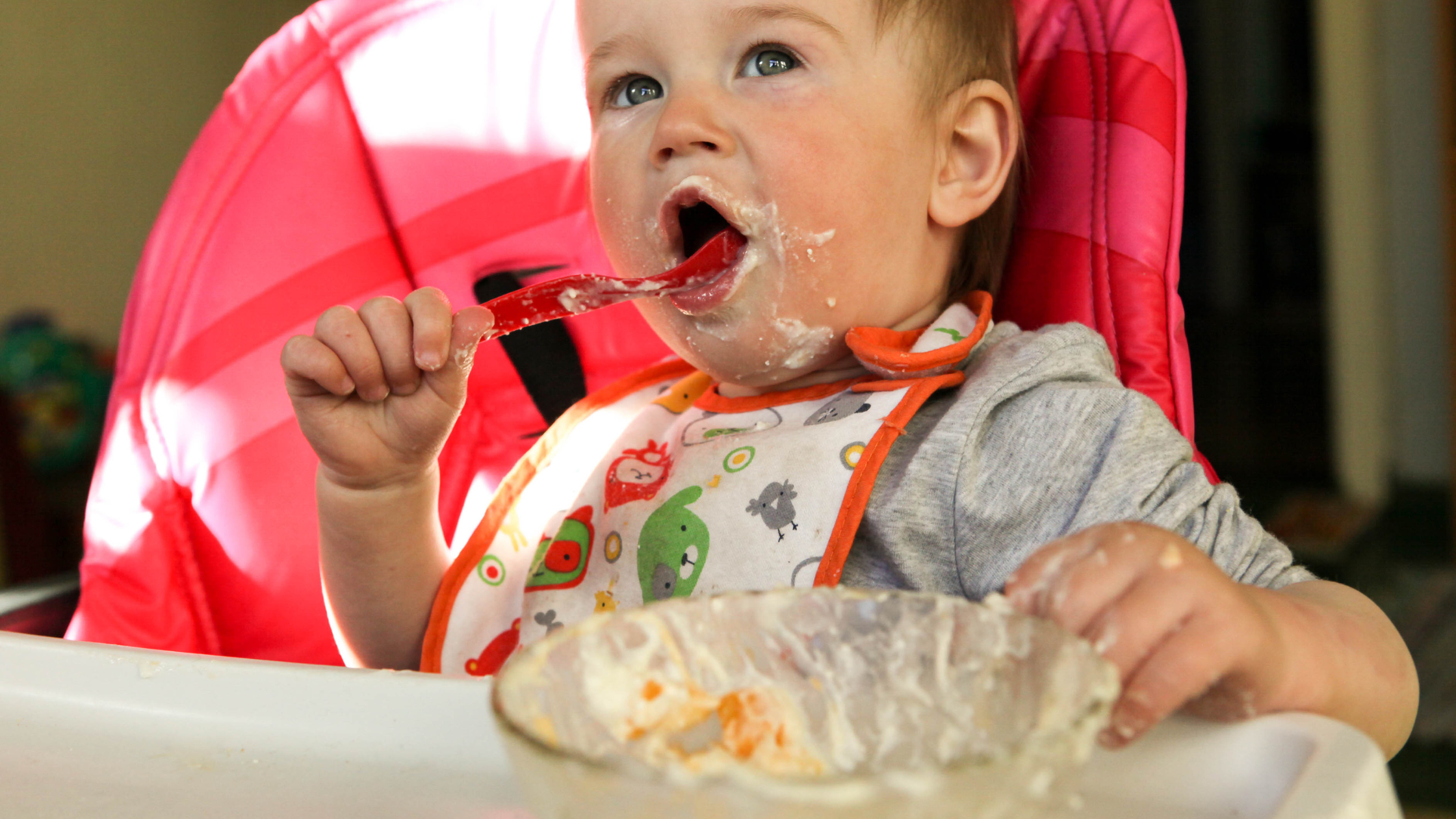 Comida de Bebé - 5 ideias de lanches para o berçário (bebés 6 aos 12 meses)