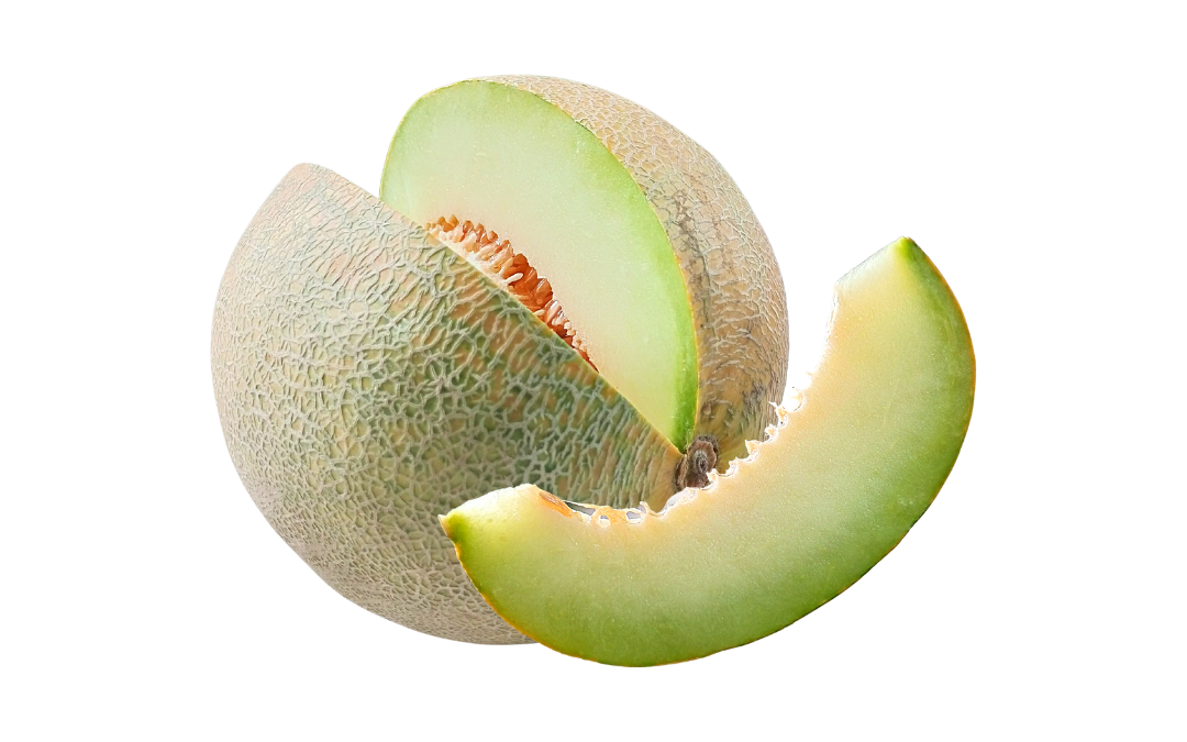 Comida de Bebé - Alimento - Meloa