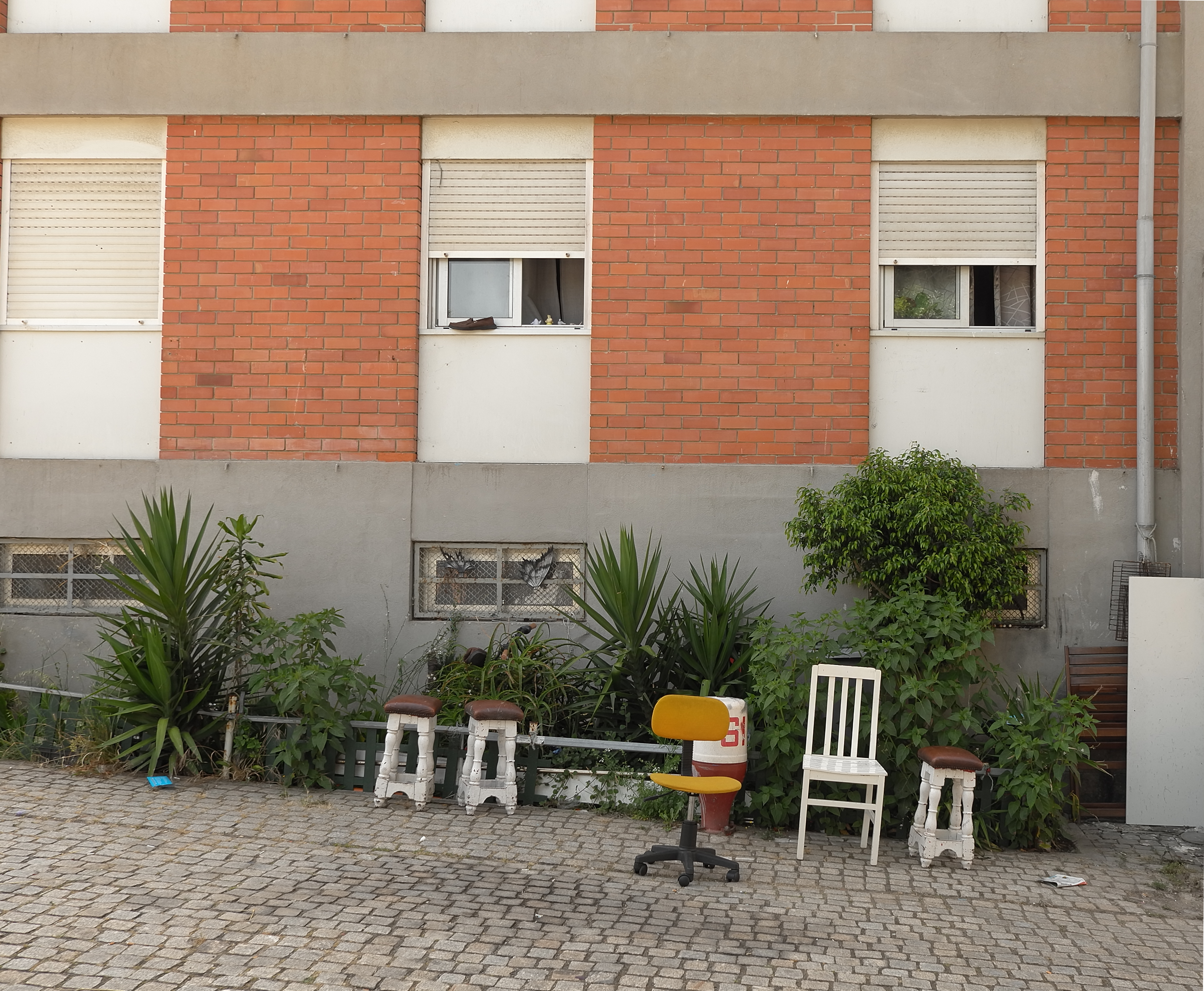 Projeção do filme “24 Lagarteiros por Segundo”