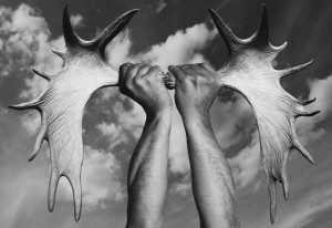 GBenard Antlers Upss