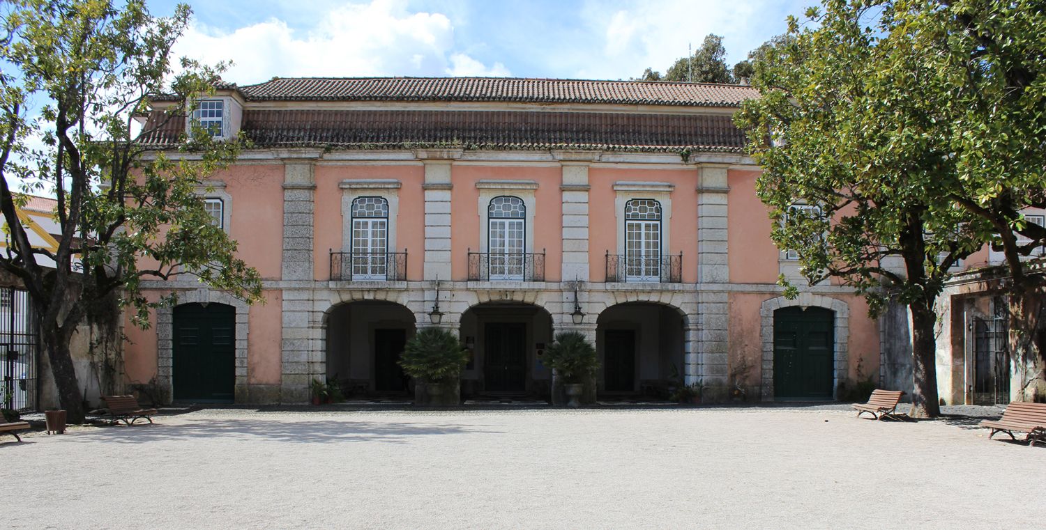 Imagem de PRR: Presidente do Património Cultural diz que manutenção de espaços renovados é desafio futuro
