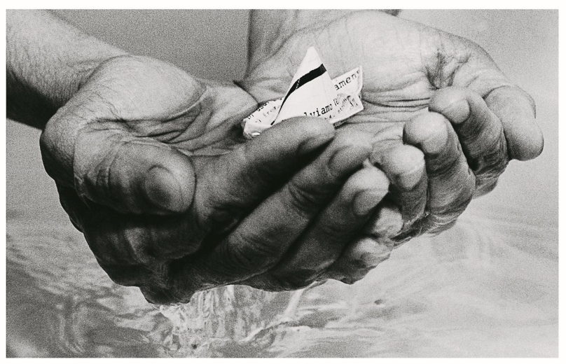 Visita com o curador Sérgio Mah à exposição Anna Maria Maiolino – Terra Poética