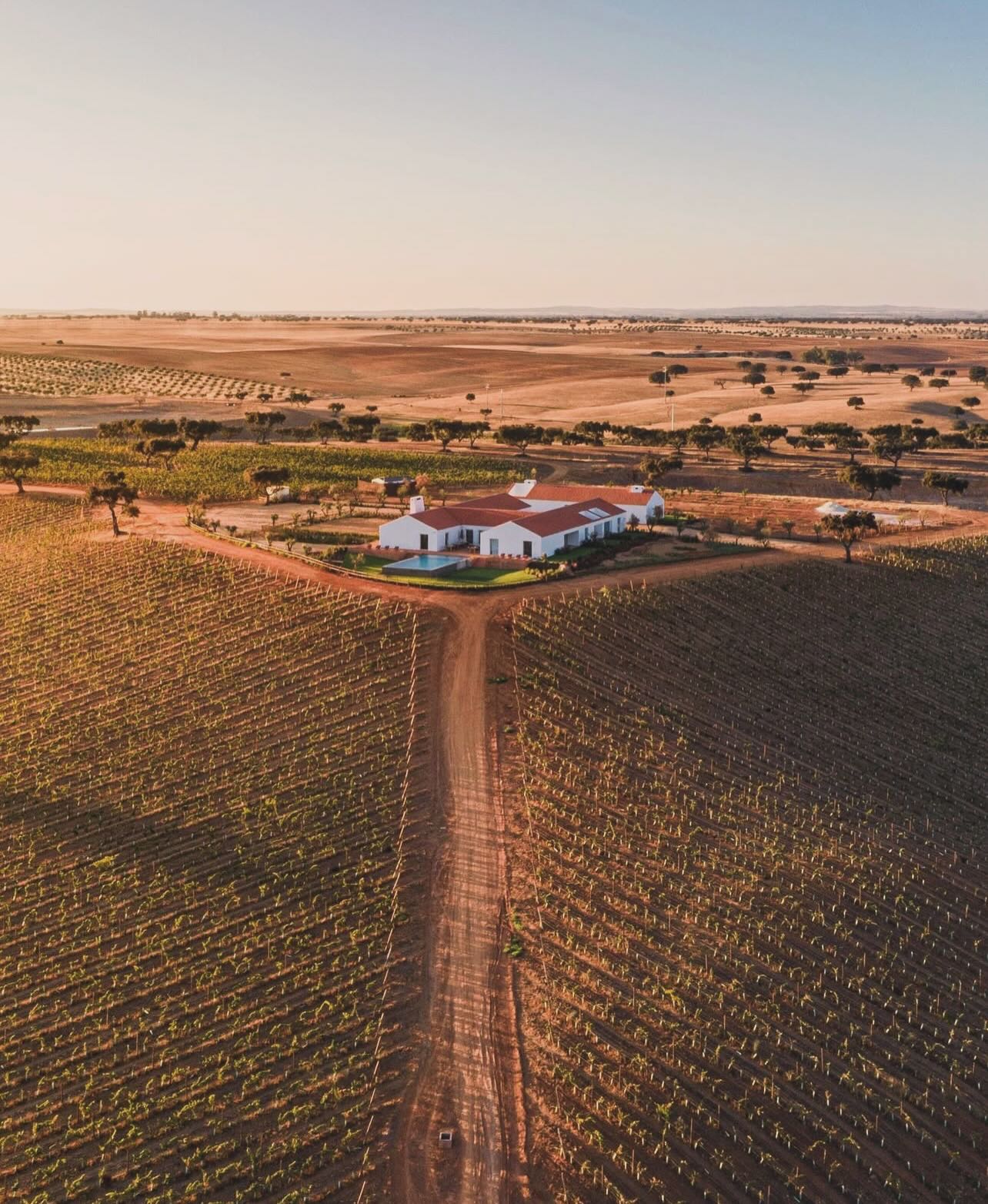 Coletivo: Herdade da Malhadinha Nova