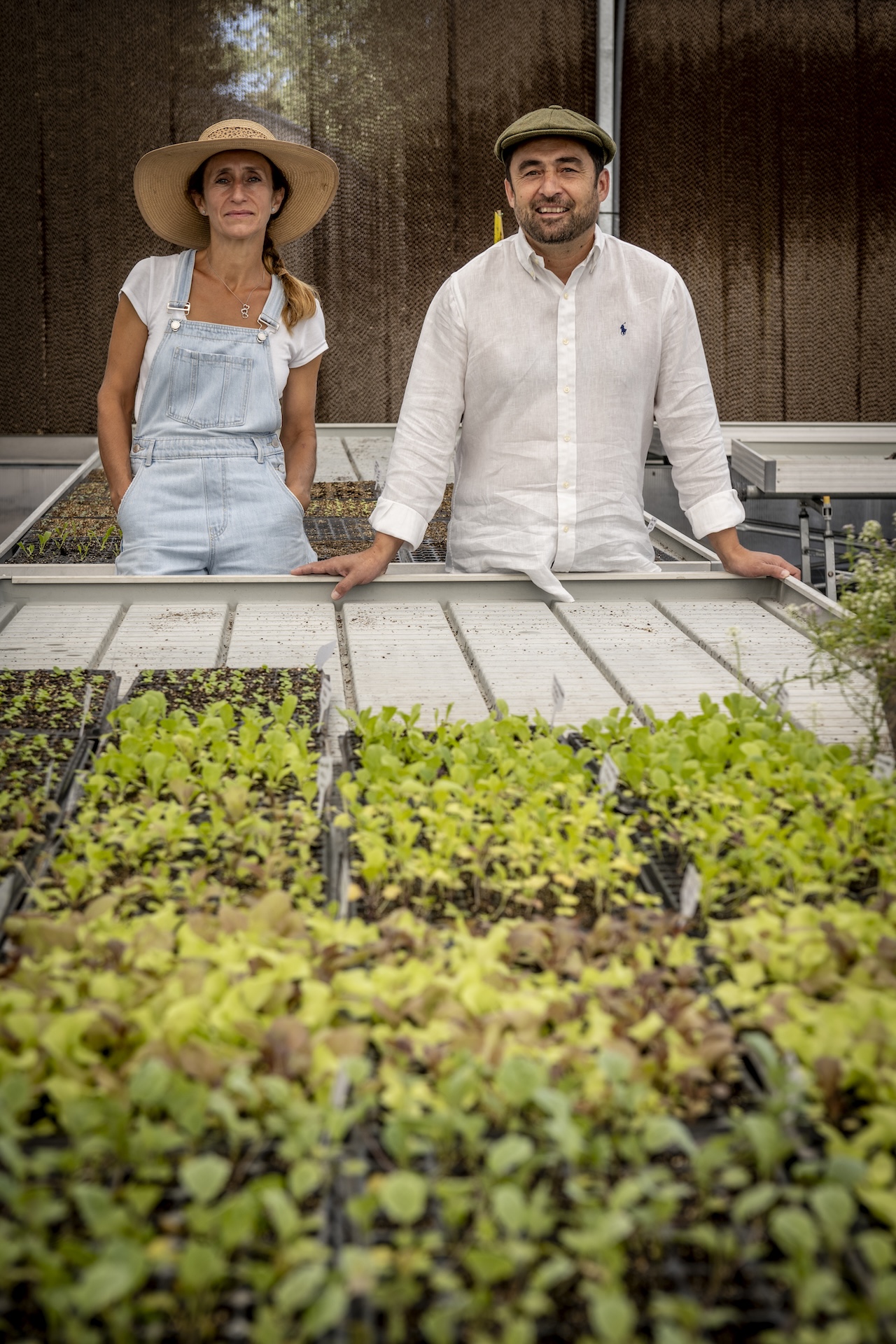 Coletivo: Vivid Farms