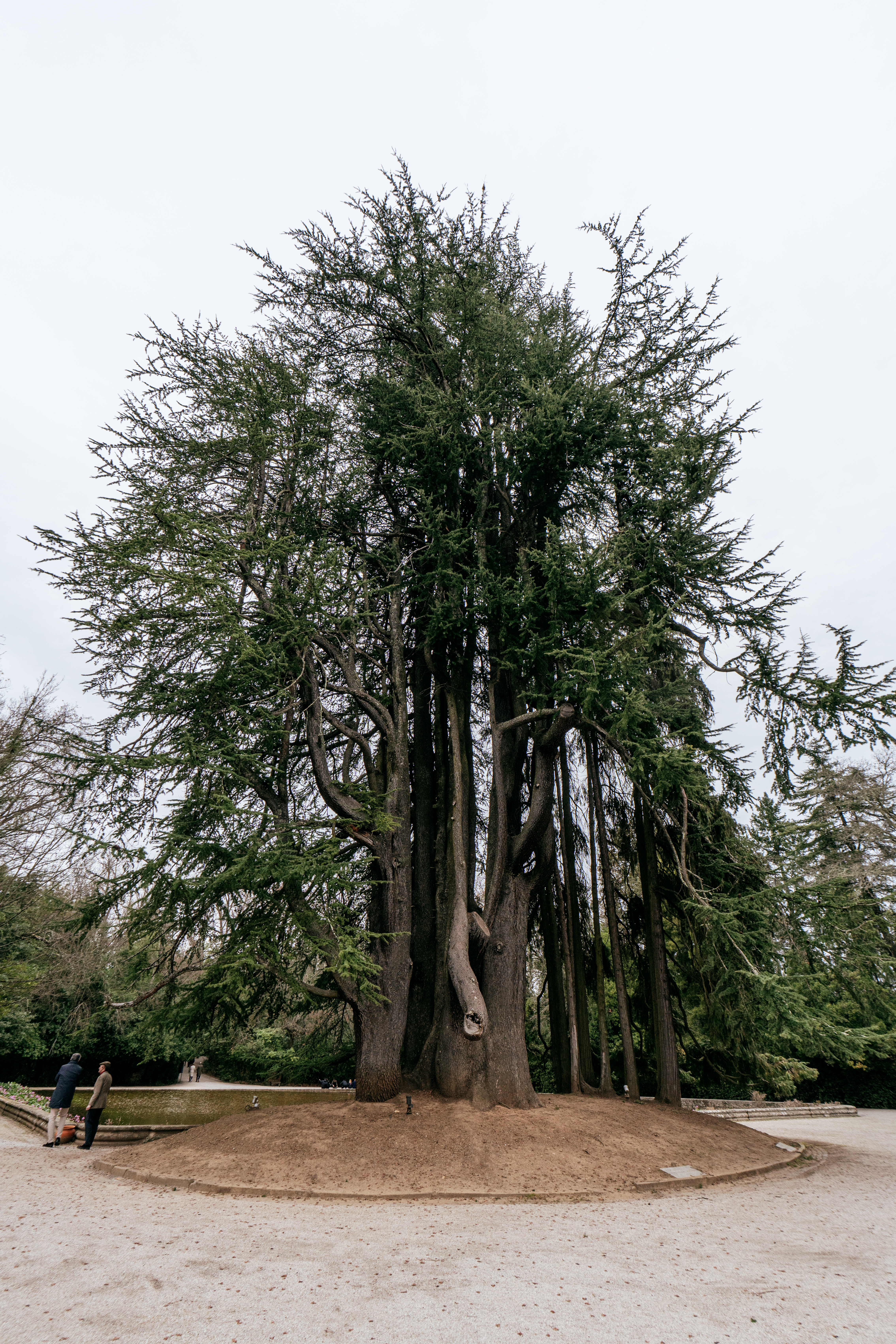 Flora e Fauna