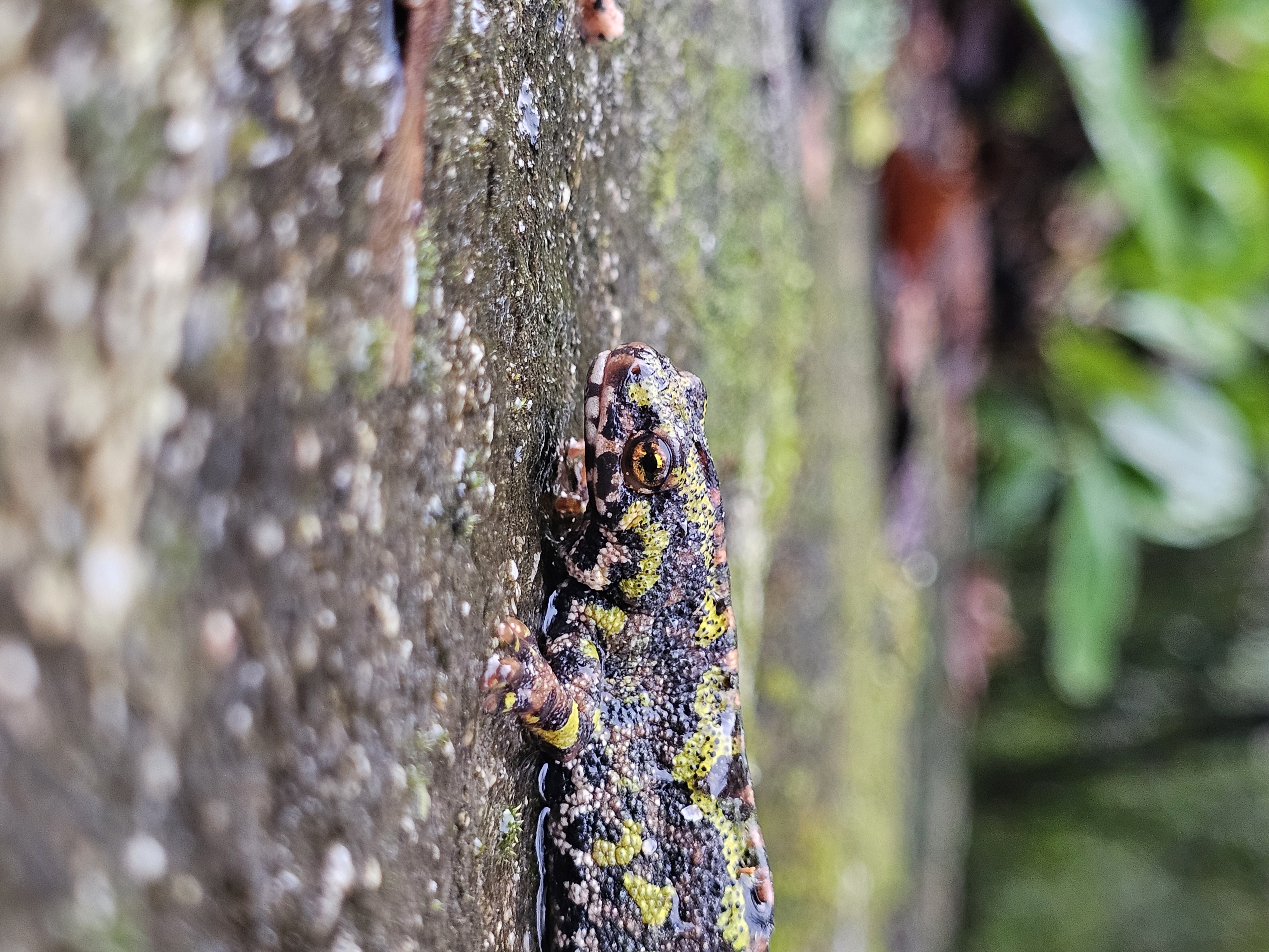 Flora e Fauna