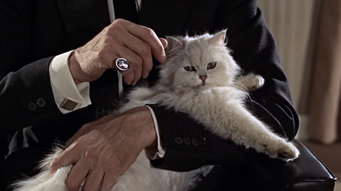 Last Movies, de Stanley Schtinter