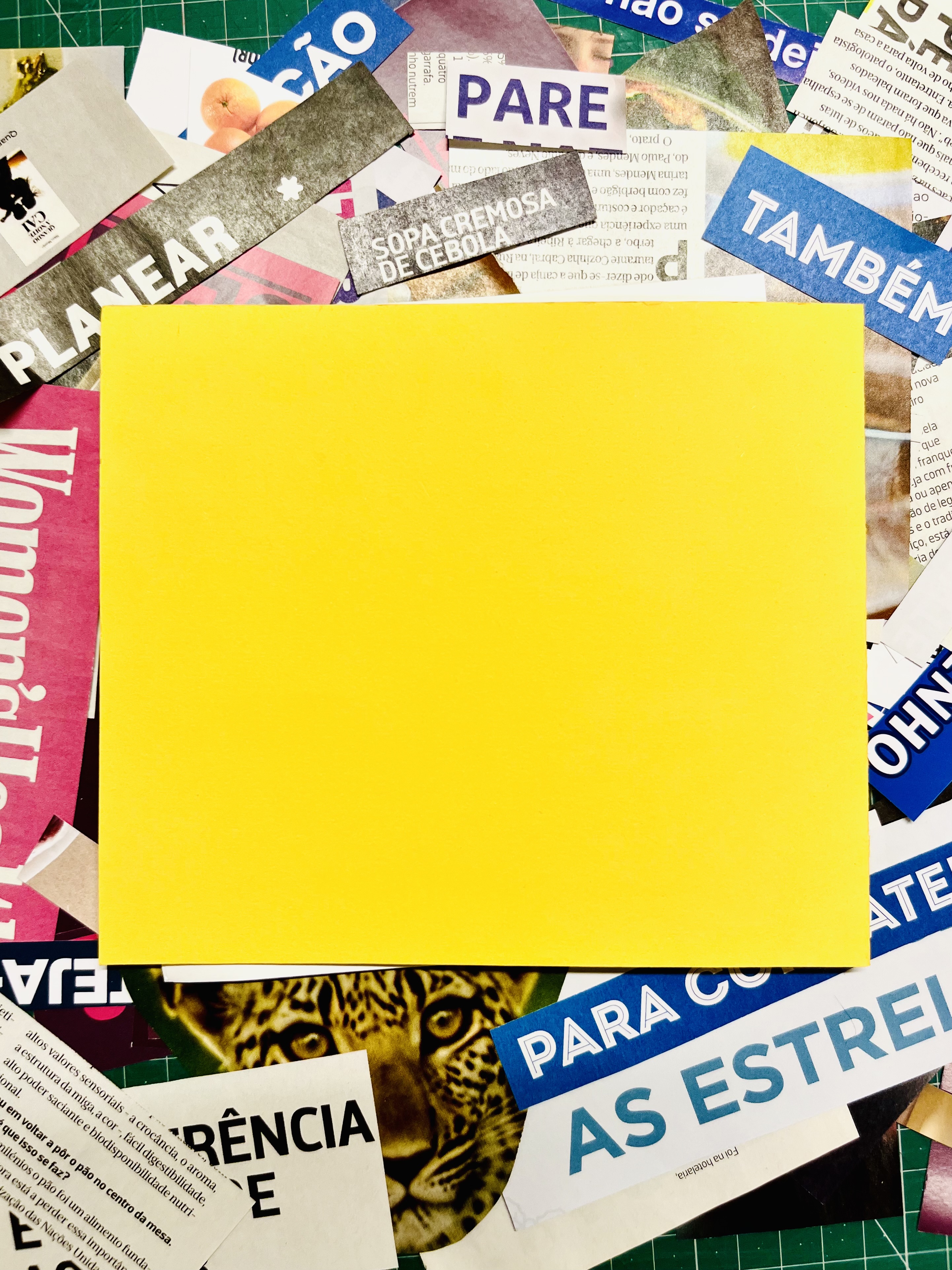 BIBLIOTECA DAS CAPAS LIVRES — OFICINA DE ARTE E INTERVENÇÃO COLABORATIVA