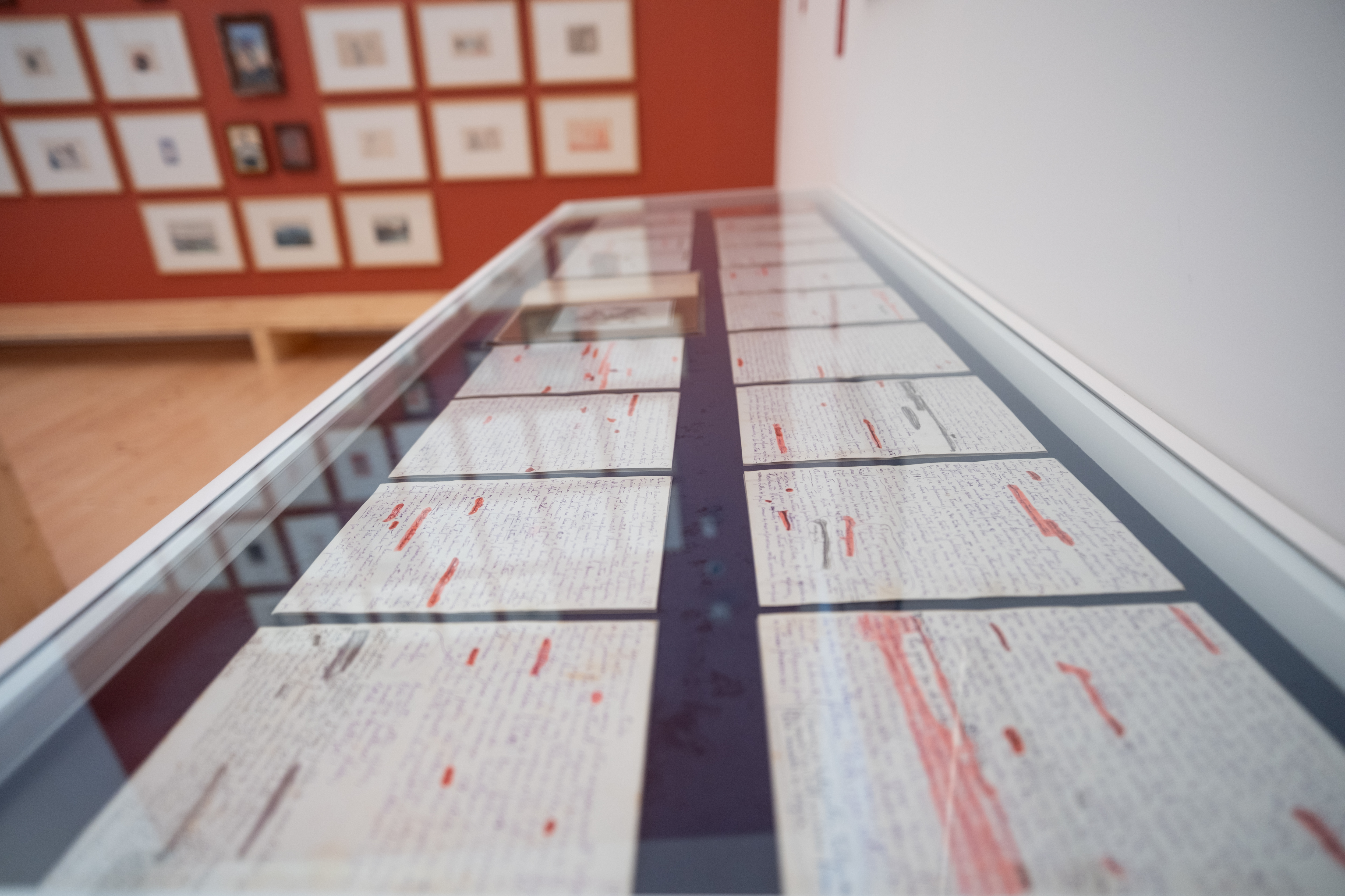 VISITA — O OLHAR DE PASCOAES SOBRE ANTÓNIO CARNEIRO — MANUSCRITO E OBRA