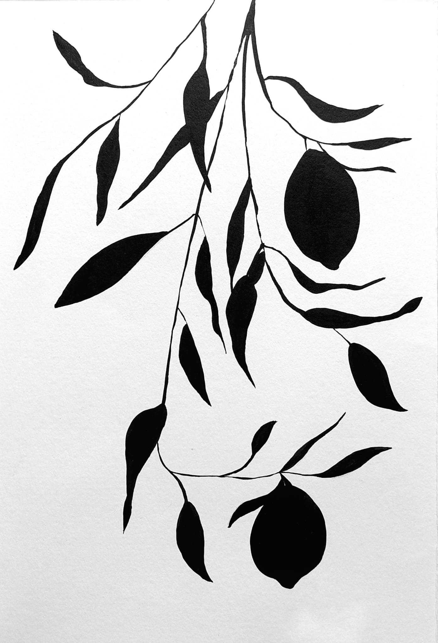 A(R)RISCAR — CICLO DE ILUSTRAÇÃO CIENTÍFICA — ABERTURA DA MOSTRA «O JARDIM DE CAMÕES»