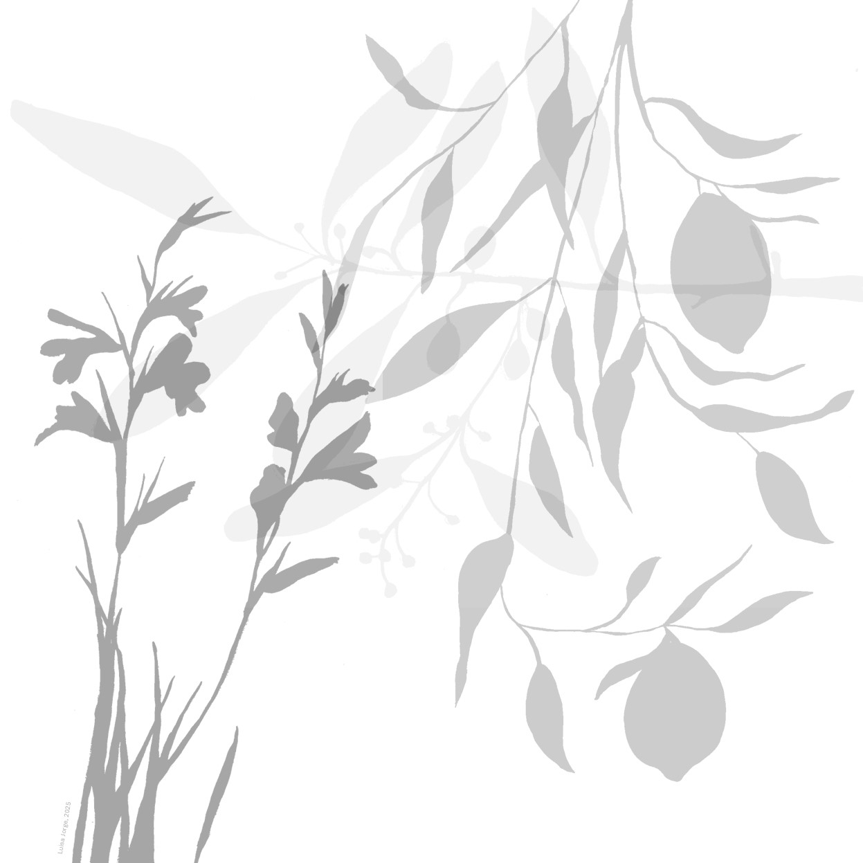 A(R)RISCAR — CICLO DE ILUSTRAÇÃO CIENTÍFICA — OFICINAS DE ILUSTRAÇÃO CIENTÍFICA #3