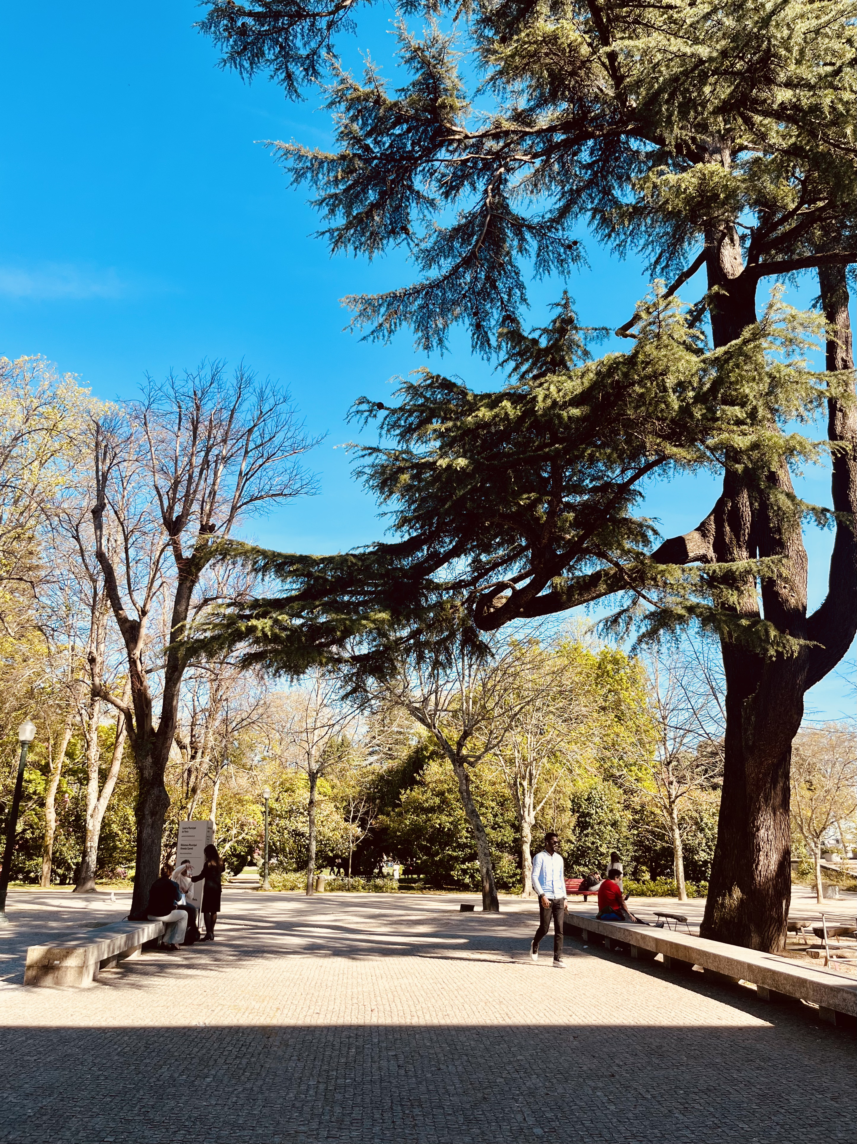 O MUNDO AO CONTRÁRIO — PASSEIO LITERÁRIO