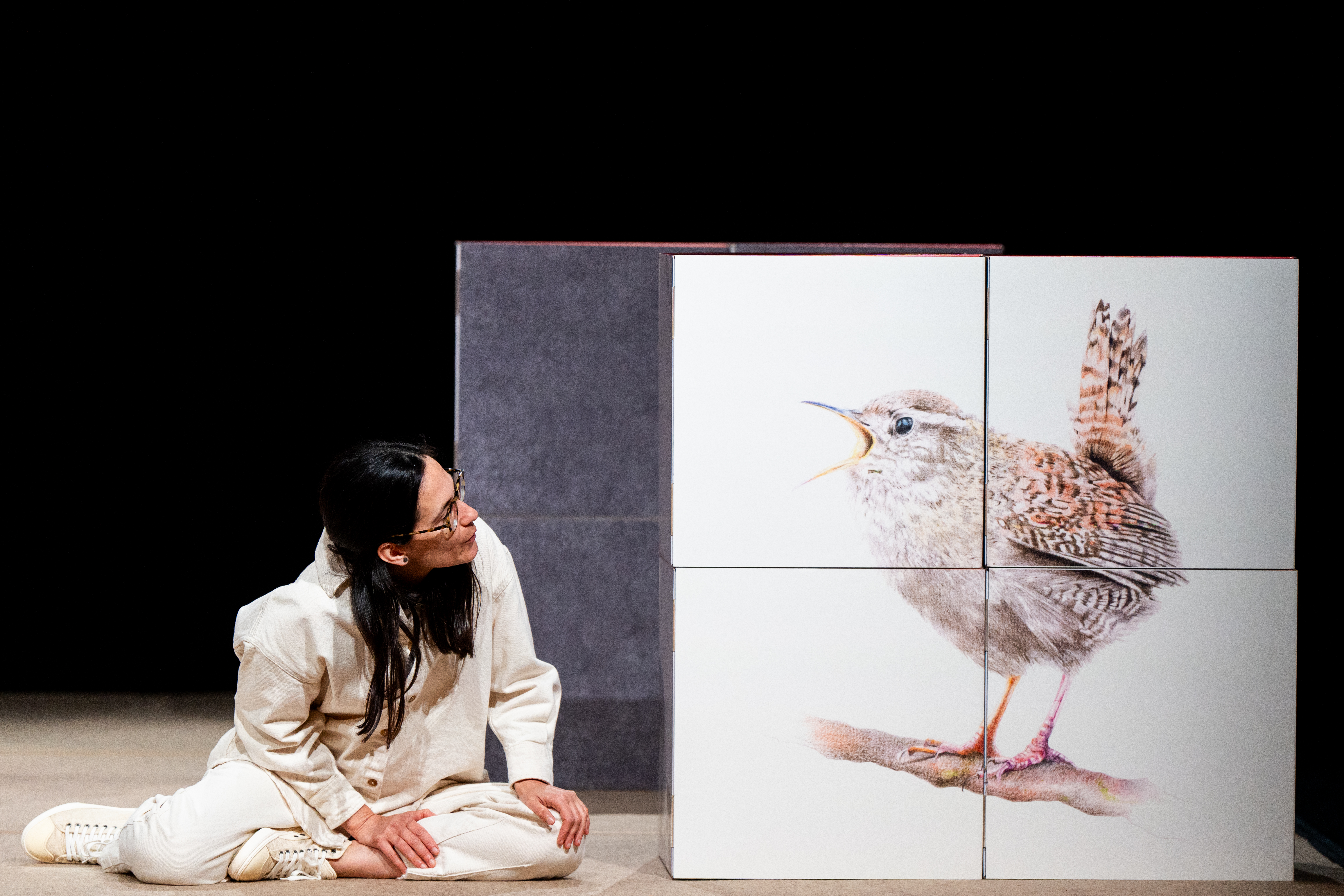 PÁSSAROS &amp; COGUMELOS — ESPETÁCULO