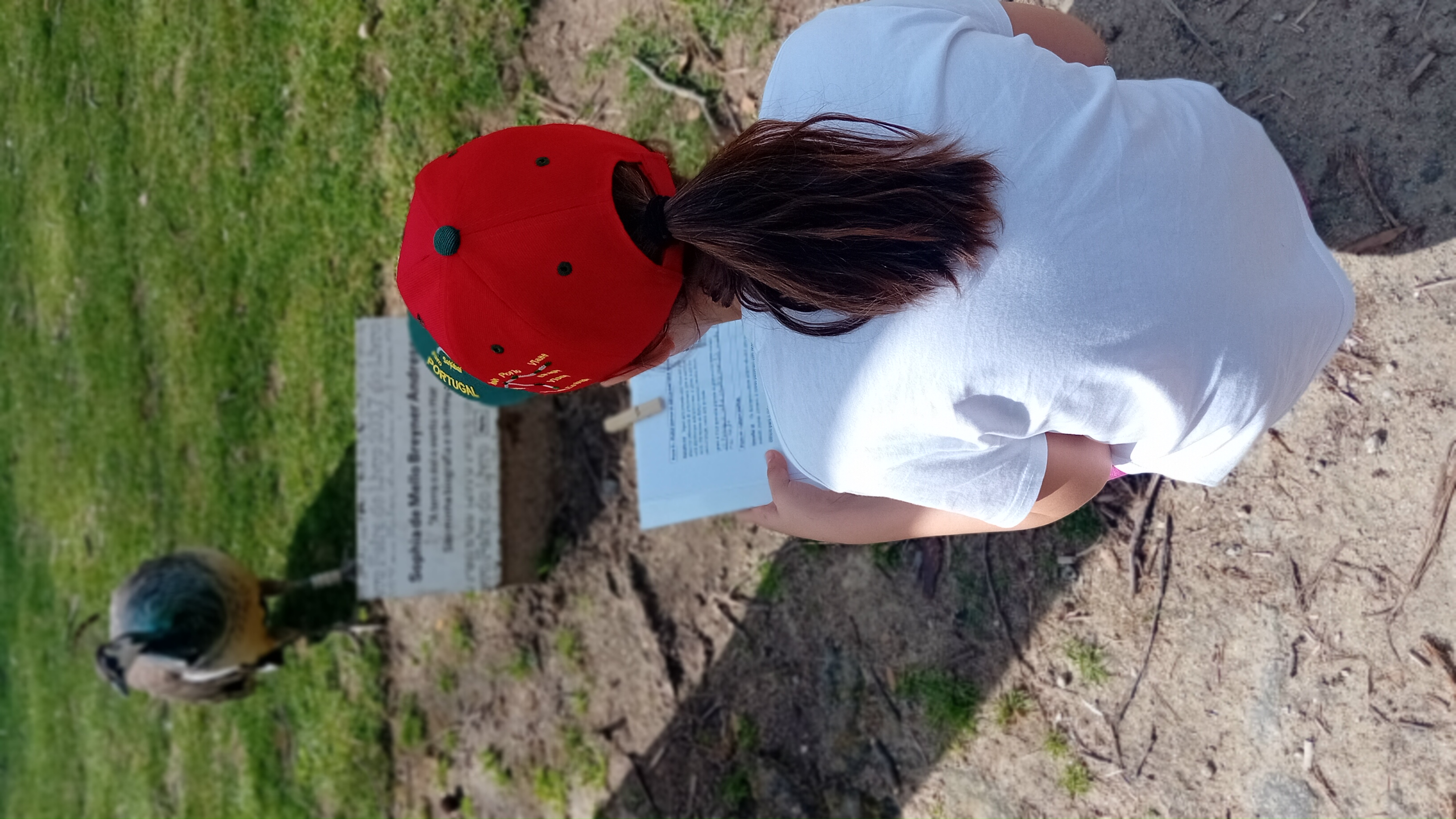 PASSEIOS LITERÁRIOS EM FAMÍLIA — PASSO A PASSO COM PALAVRAS — SOPHIA DE MELLO BREYNER ANDRESEN, POESIA E NATUREZA