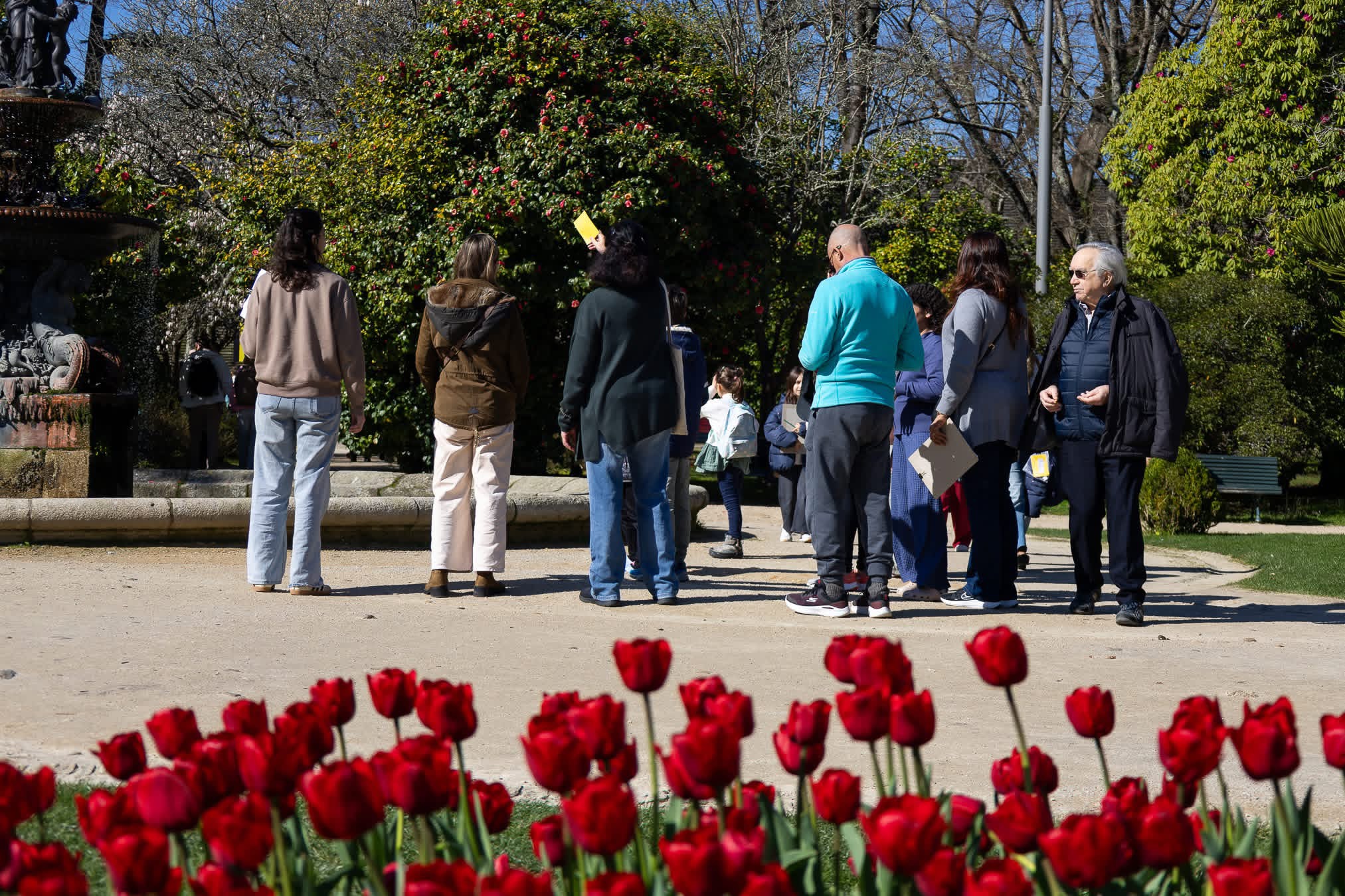 PASSEIOS LITERÁRIOS EM FAMÍLIA — ANA LUÍSA AMARAL: A TEIA DAS PALAVRAS