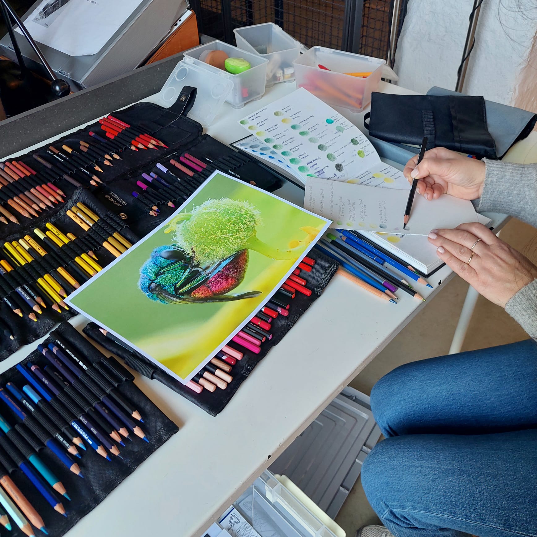 A(R)RISCAR — CICLO DE ILUSTRAÇÃO CIENTÍFICA — OFICINAS DE ILUSTRAÇÃO CIENTÍFICA